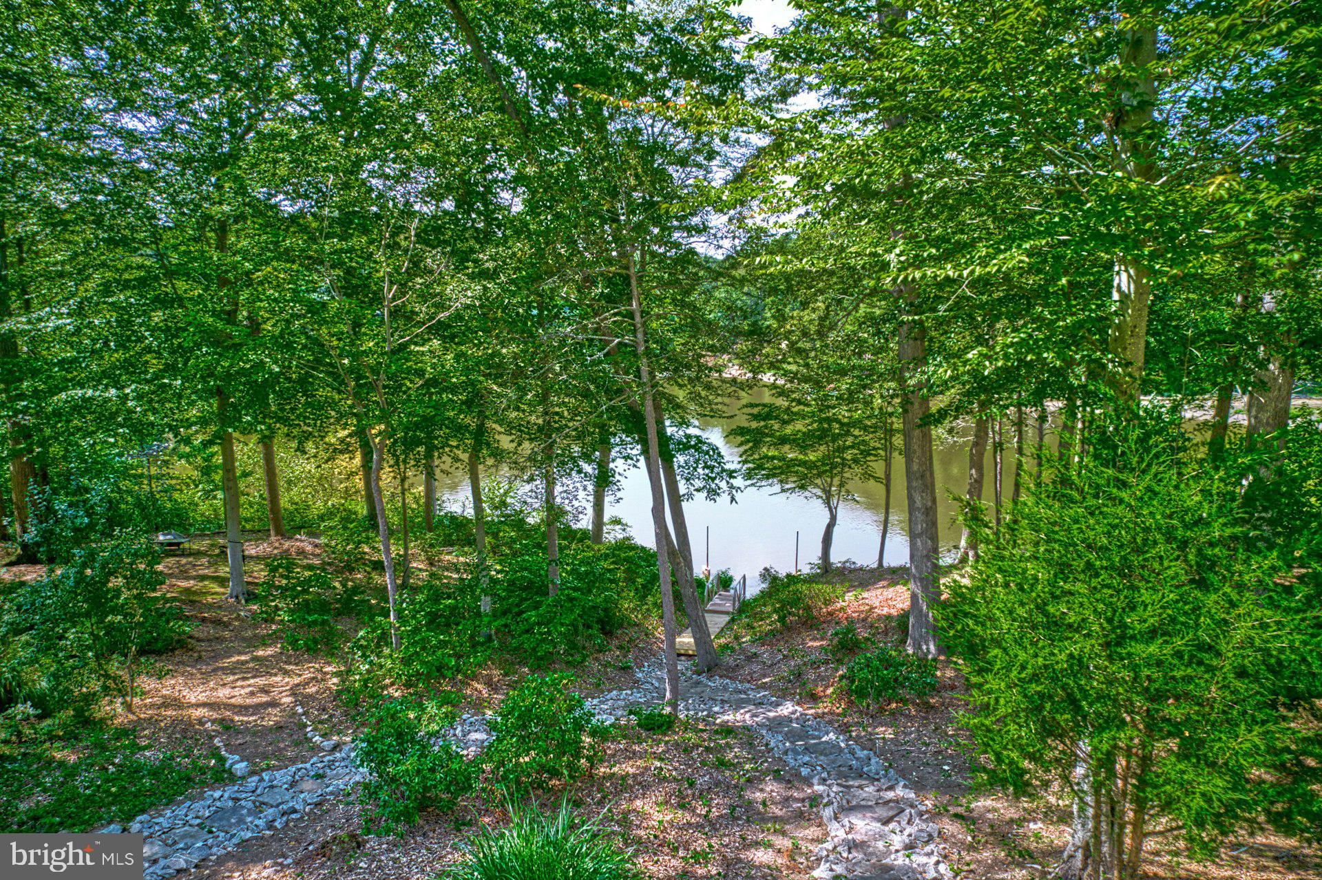 CATHEDRAL FOREST - Residential