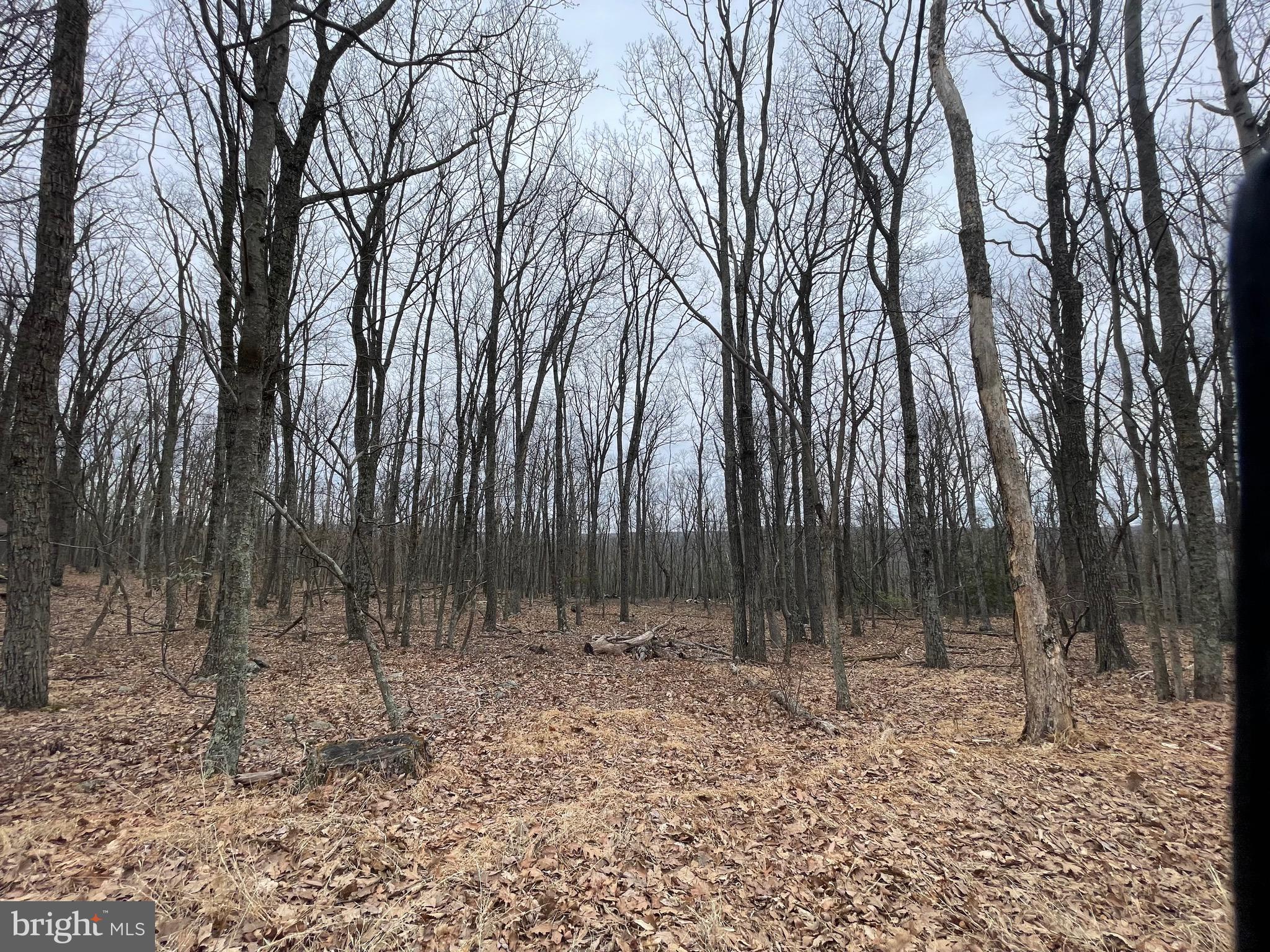 COVE VILLAGE - Land