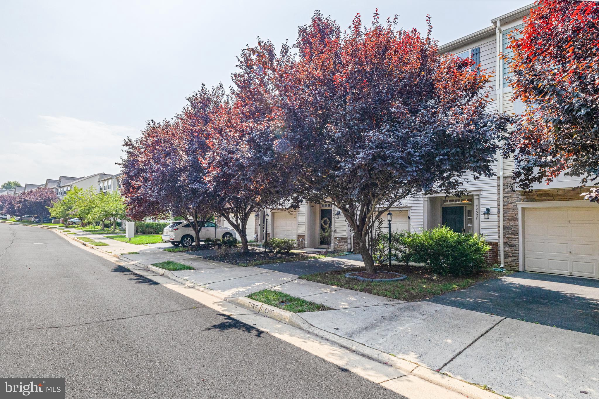 ALEXANDERS CHASE - Residential