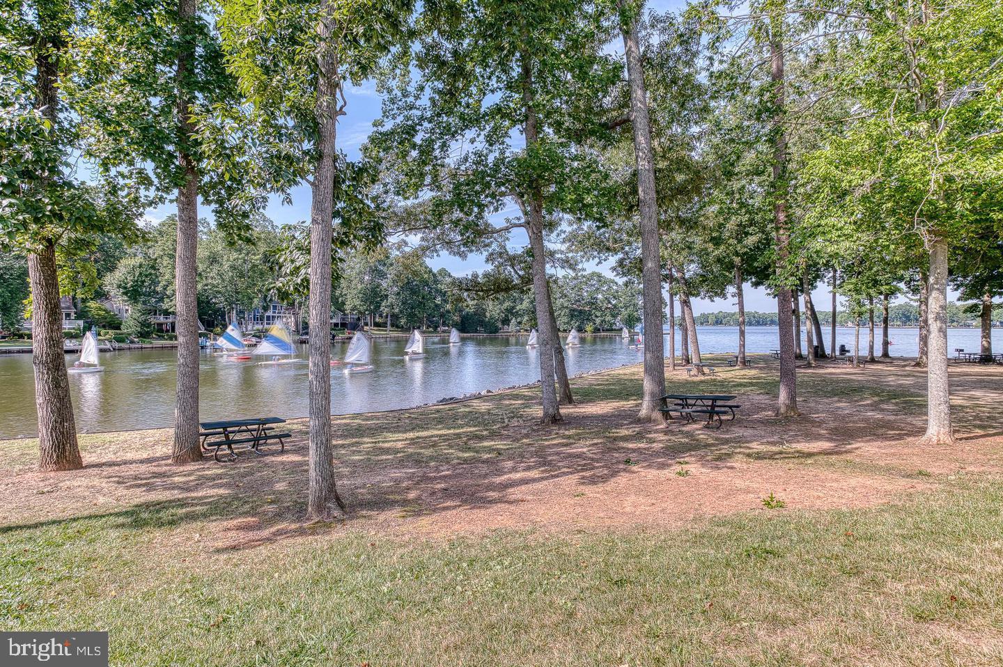 LAKE OF THE WOODS - Residential