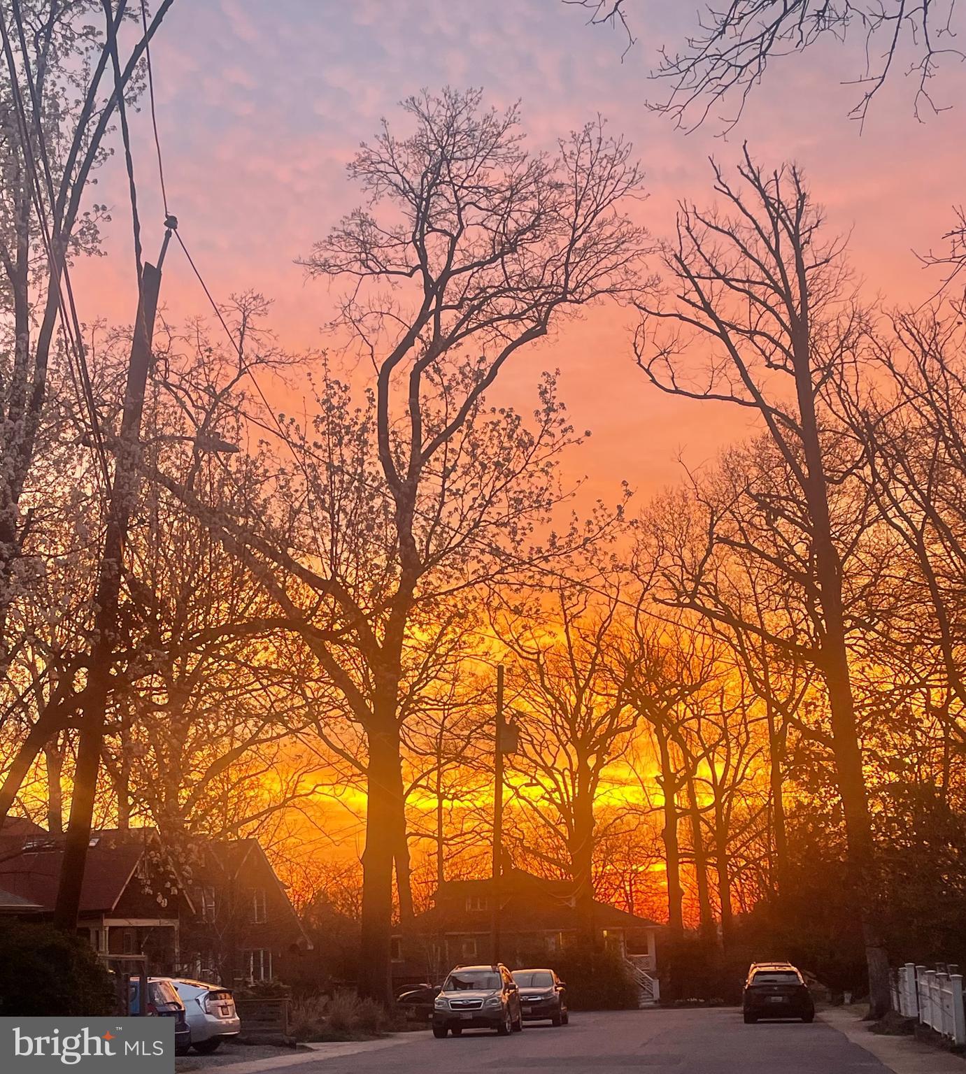 TAKOMA PARK - Residential