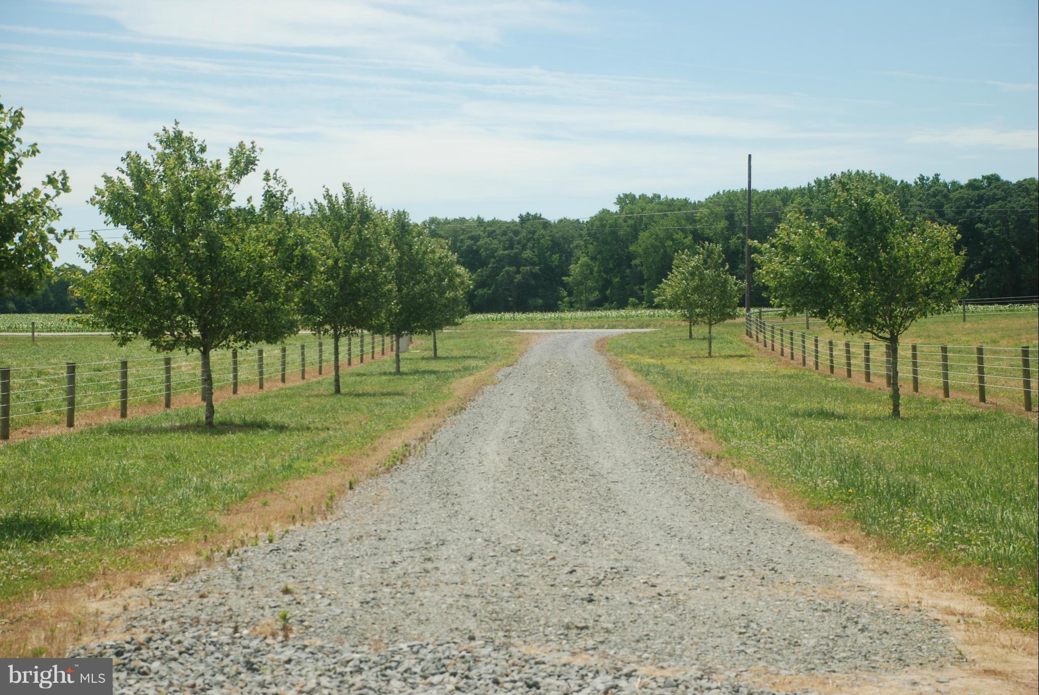 23+/_ acre lot with several paddocks and run in sheds and stalled barn. Water and electricity installed. A one acre building pad has been taken out of the agricultural status and that fee has been paid. Several of the acres are in woods with a small stream.  The hunting is excellent. The fencing is fabulous. Tree lined drive. The lot is ready for your dream home and your animals will be pleased.
