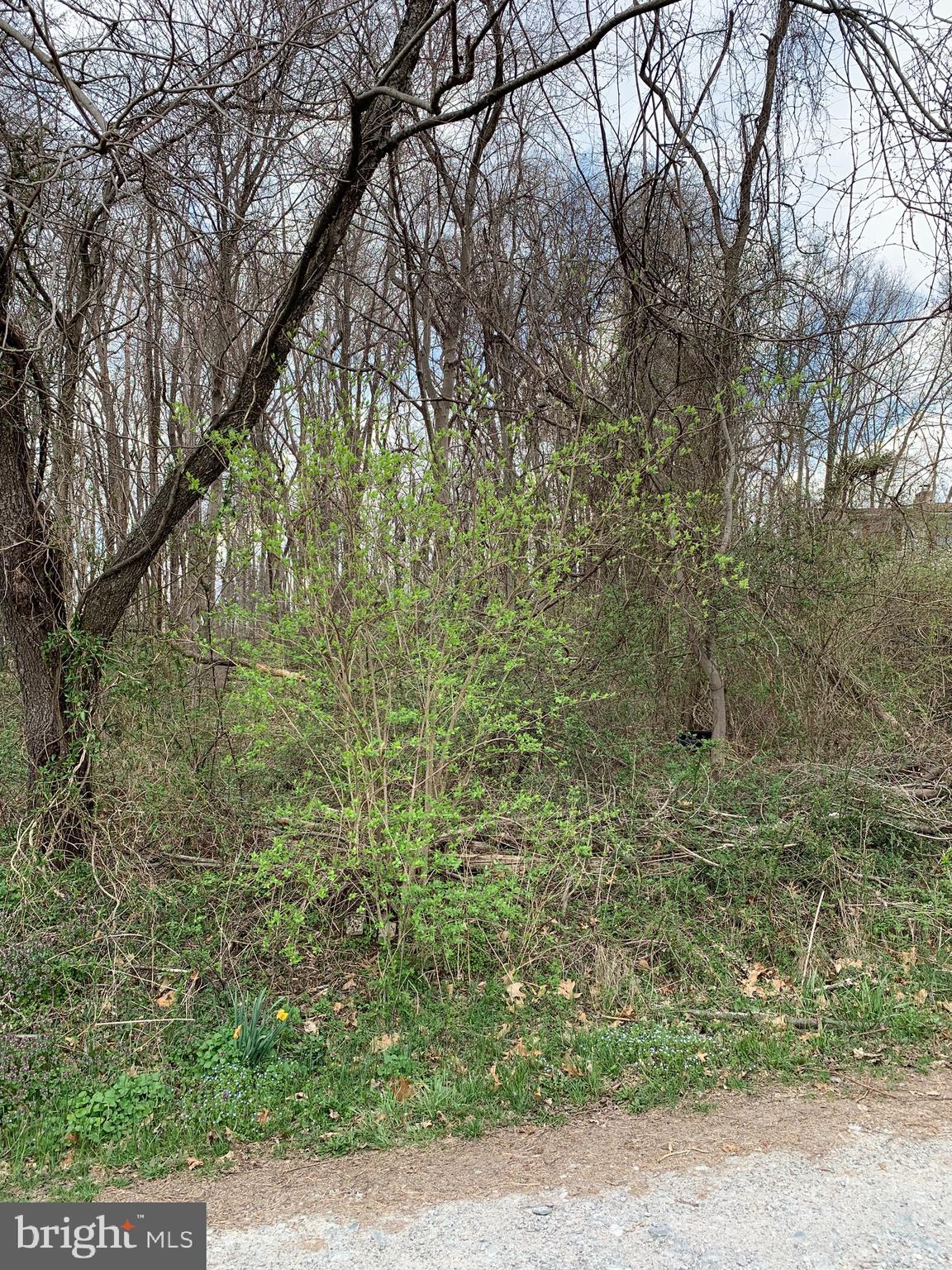 Raw land has no well, no septic and no perc, 0.52 acres
