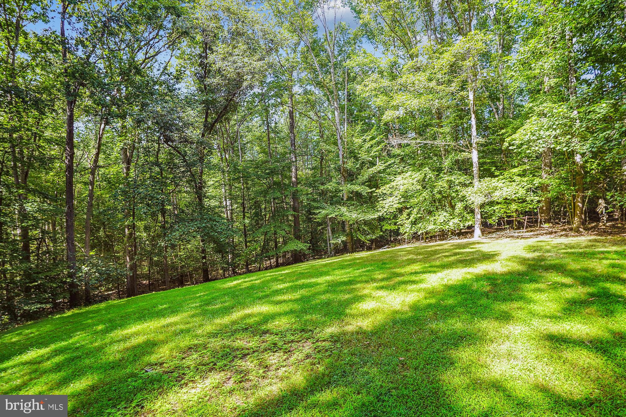WOODBINE FOREST - Residential