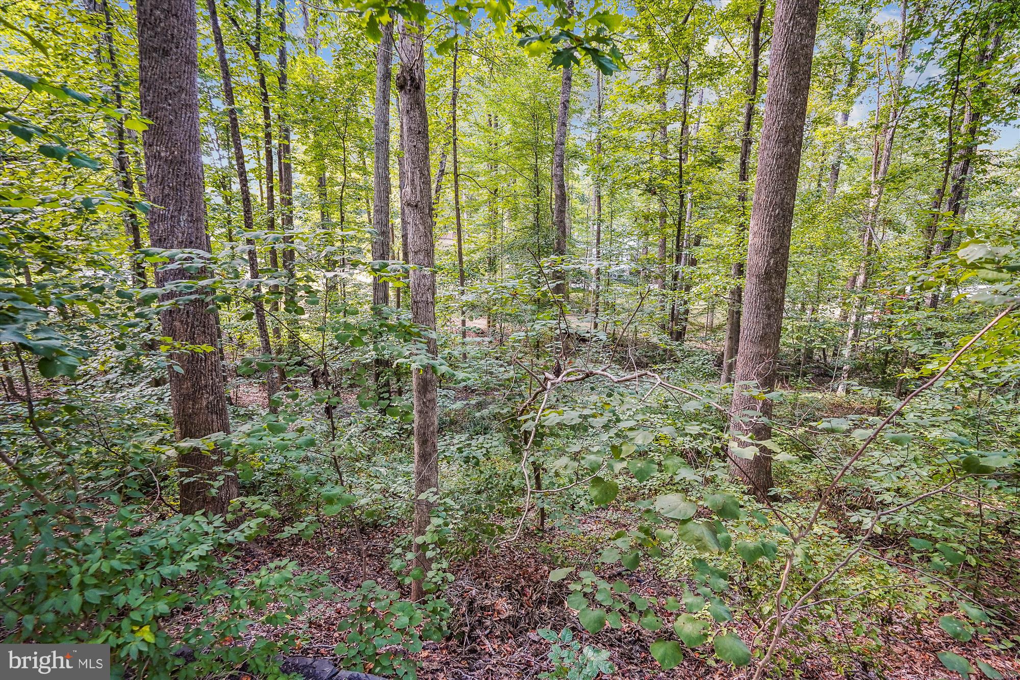 WOODBINE FOREST - Residential
