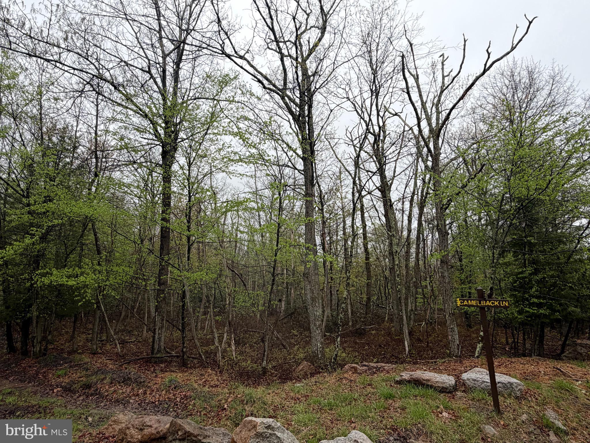 CORNER .61 acre building lot in the Cove Village Association.  This desirable location on the corner of Camelback and Haystack Drive also offers a buffer of wooded unused community land at the rear of the property making it feel larger than it is and allowing for extra privacy.   The adjoining lot at 570 Haystack is also available for purchase.  (see separate listing)  Situated in the foothills of the Poconos and only 1 1/2 hours to New York, this could be where you build your getaway or your forever home.  With easy access to I-81, your commute to Hazleton, Wilkes-Barre, or Scranton is a breeze.  Bring your own builder and let's make your dreams come true.   Your building costs are lower here since public water and sewer are already in place, ready for you to connect through Aqua of Pa.  Do you desire a cabin or home where you can hunt, fish, ATV, snowmobile, and more?  How does approximately 750 acres of unoccupied prime hunting, ATV, and snowmobile riding land sound to you?  Yes, that's right!  Adjoining the residential portion of Cove Village is just that for residents of the community and their guests!  Driving through the community, the peace and tranquility will envelop you.  The homes vary from rustic cabins, chalets, traditional ranch, two-story homes, exquisite new construction, and even dreamy mountain log homes.  There really is something for everyone.  The approximately 278 acres of residential homes and lots are occupied by full-time residents, part-time vacation homes, and even some snowbird second homes.  Cove Village is located in the mountains of Northeastern Pennsylvania and offers an abundance of amenities including a swimming pool, stocked fishing lake, a basketball court, tennis courts, a volleyball court, 2 playgrounds, a baseball field, ATV paths, hunting, a mini golf course, walking paths, and year-round Community events.  I can't forget to mention the beautiful lodge ideal to rent for family gatherings.   This lot and community just might be exactly what you've been looking for.  Air B and B are not permitted. Camping on vacant lots is not permitted.  Mobile homes are not permitted.  The minimum square footage when building is 1400 square feet.  The community maintains the roads and snow removal.  Trash collection is also provided.   An appointment is required to view due to the gated community and buyer's MUST be accompanied by a realtor.  Call to schedule your tour today!