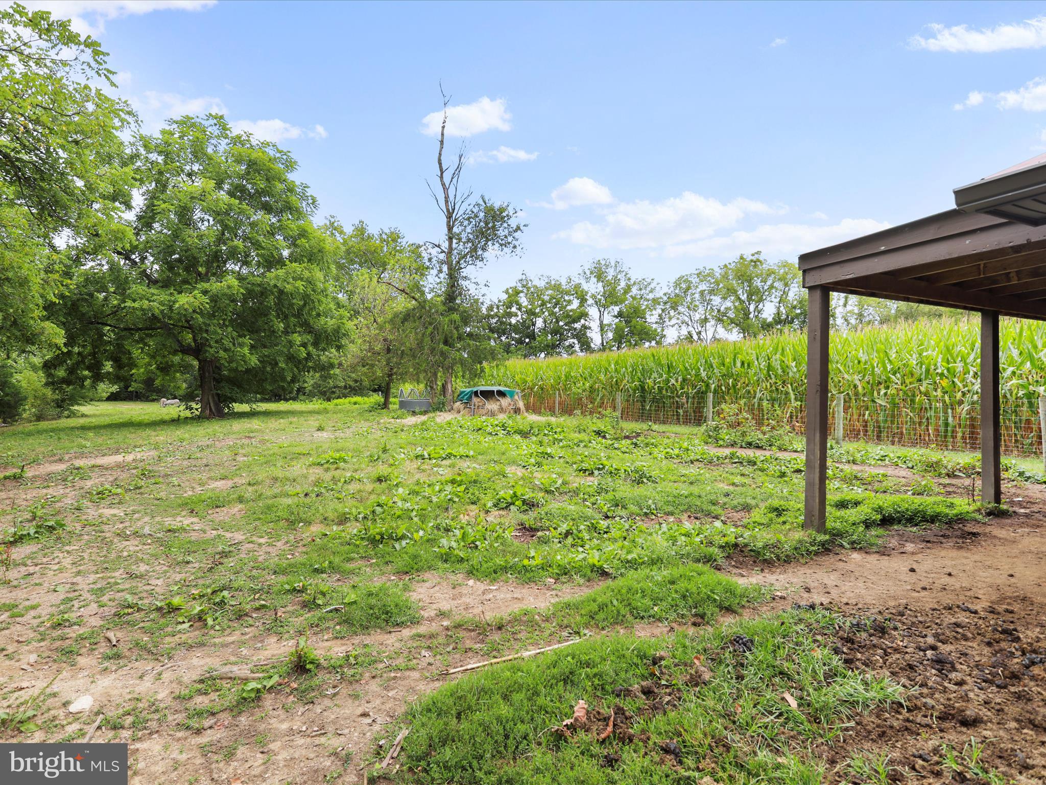 NONE AVAILABLE - Farm