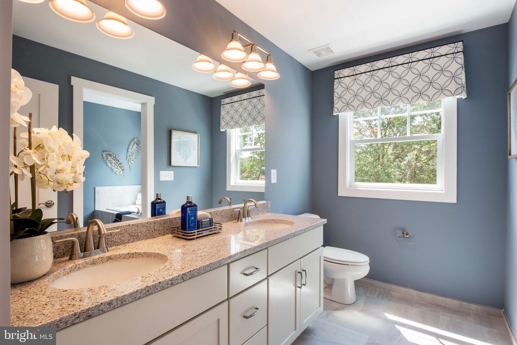 THE PRESERVE AT WYE MILLS - Residential