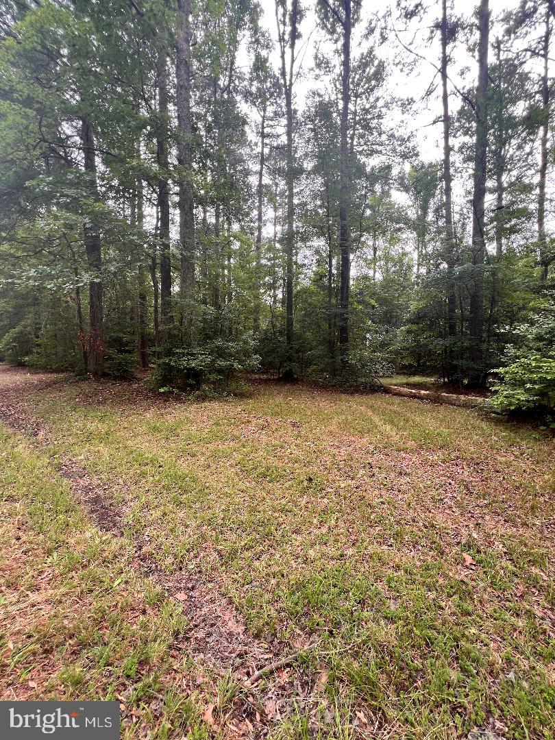 Come build your dream home in the highly sought after water-oriented community of Glebe Harbor. Nice and flat, 2 lots and backs to trees for added privacy!  Tax Map 26K1 3 51 & 26K1 3 52 included in this sale.