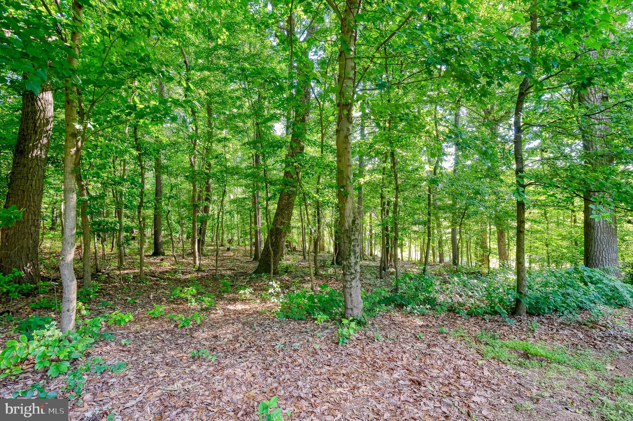 HAMPSTEAD - Residential