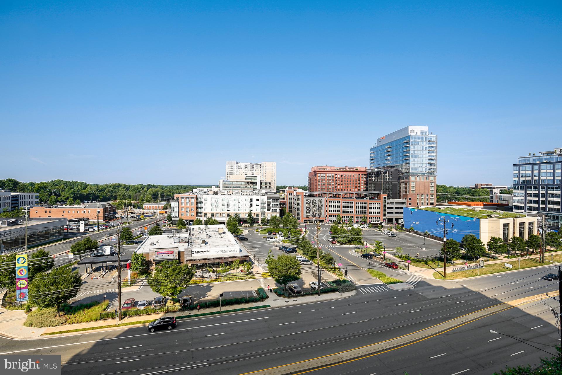 PIKE AND ROSE - Residential