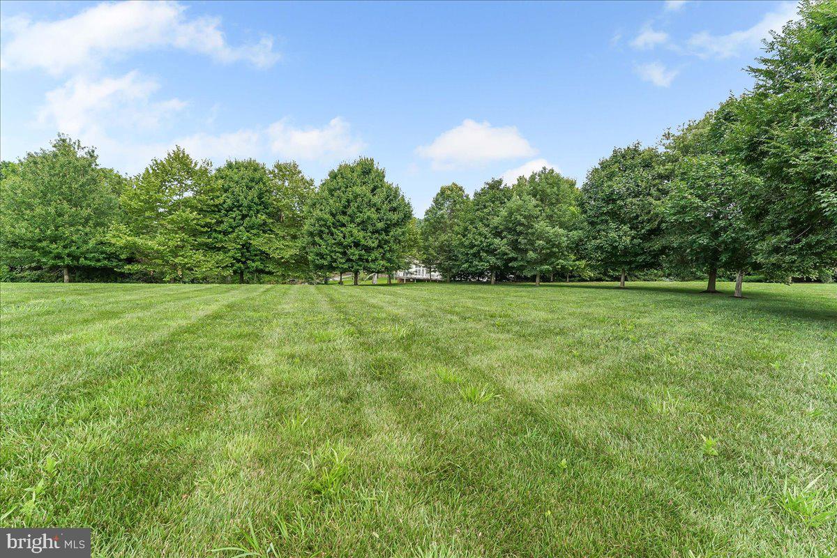 SCALEBY FARM - Residential
