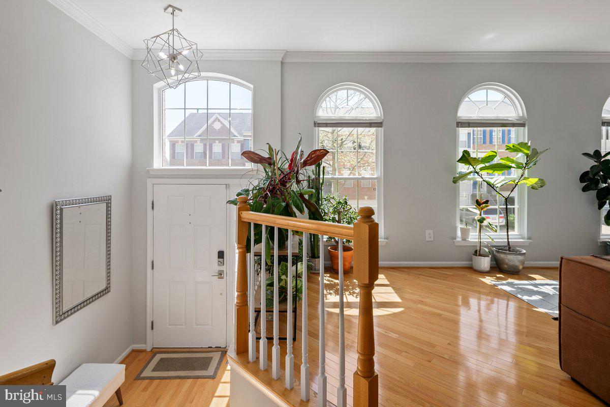 KINGSTOWNE - Residential