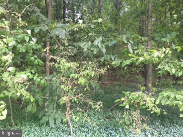 1.25 acre wooded lot. Additional 36.8 acre lot available.
