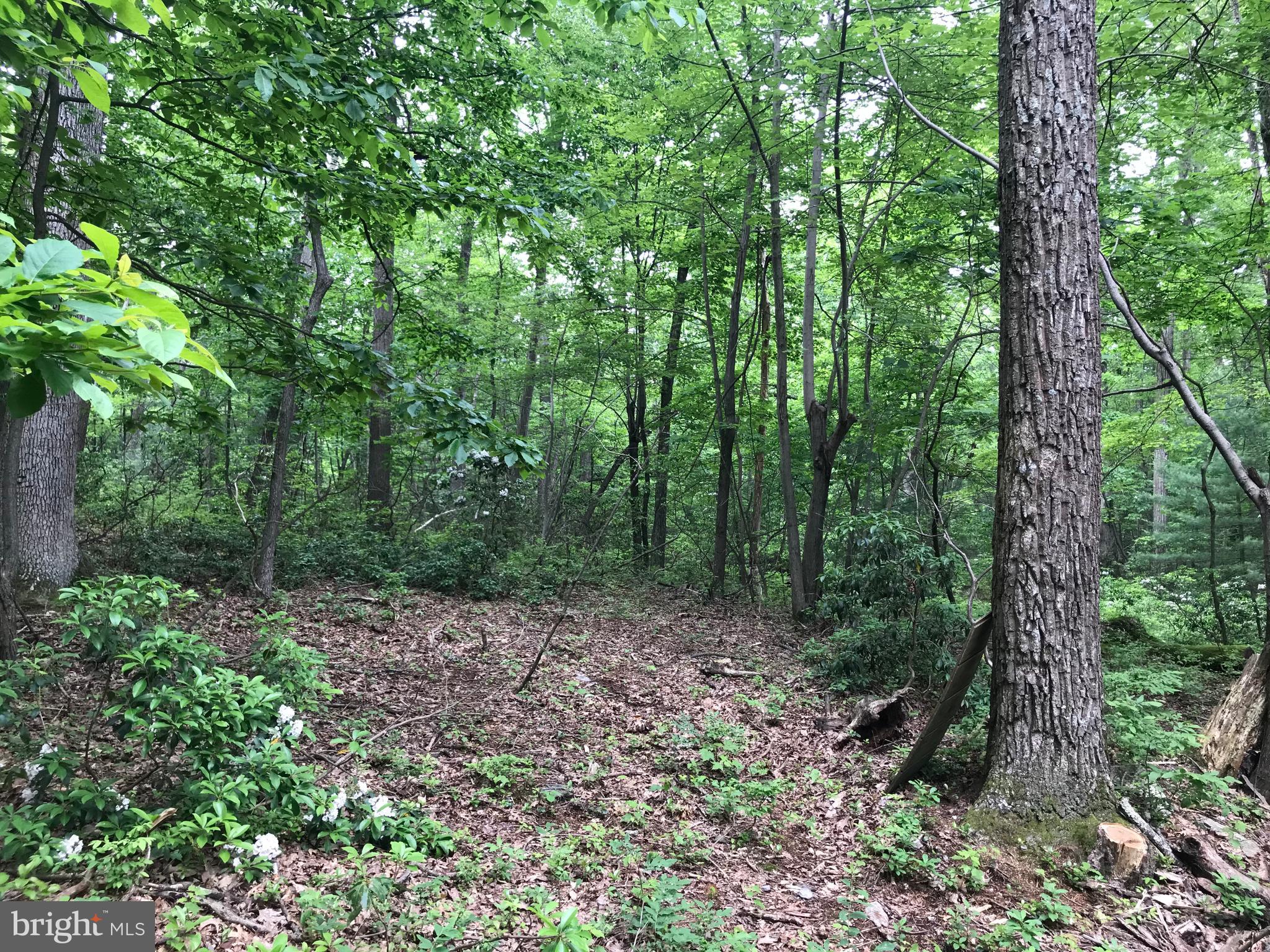 GETTYSBURG CAMPING & HUNTING CLUB - Residential