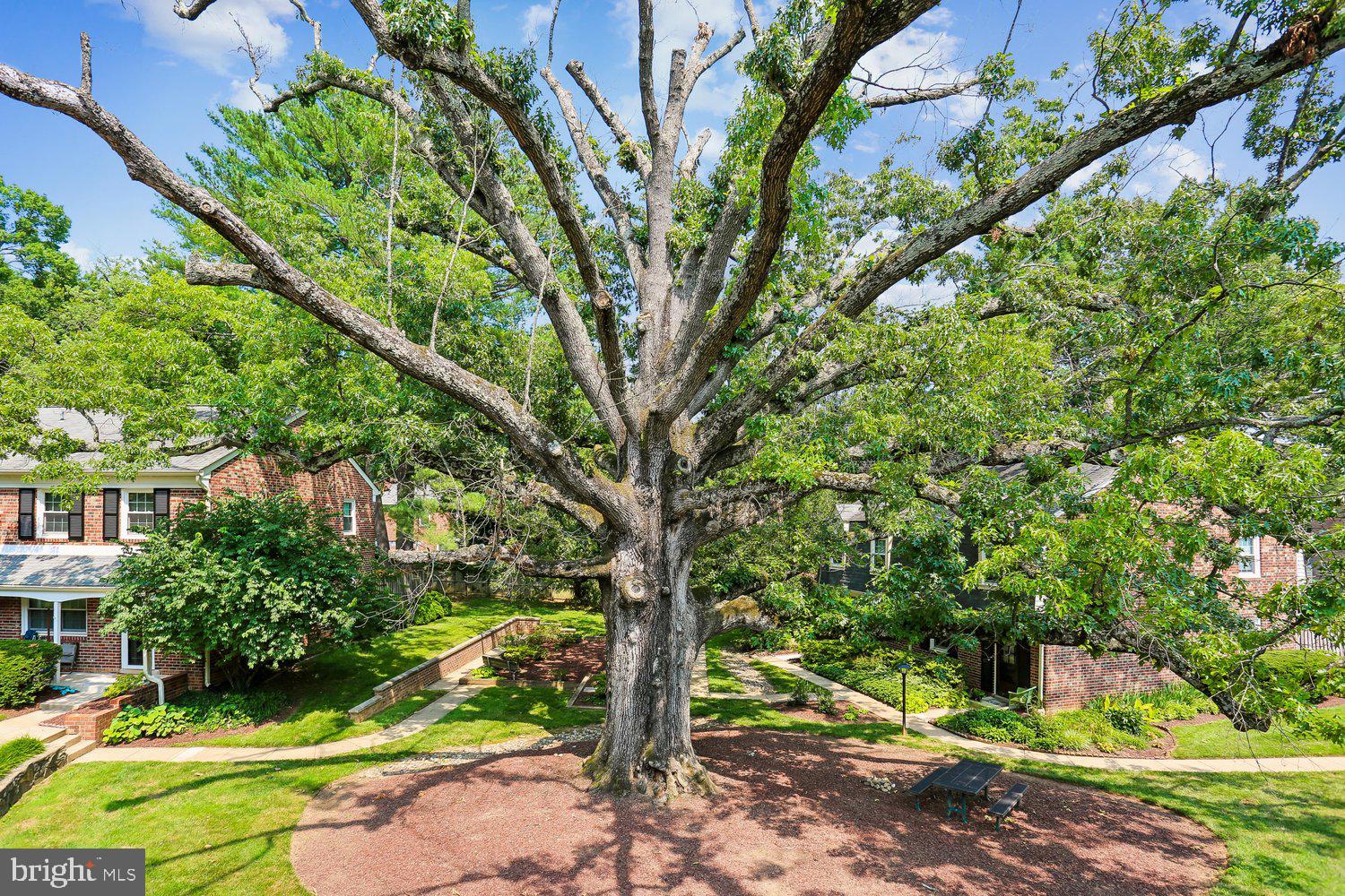 REGENT SQUARE - Residential