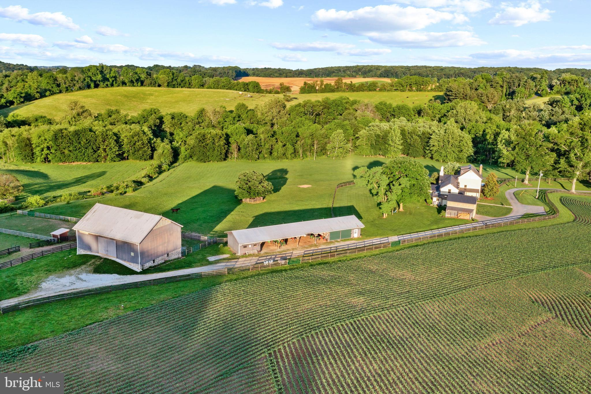 NONE AVAILABLE - Farm