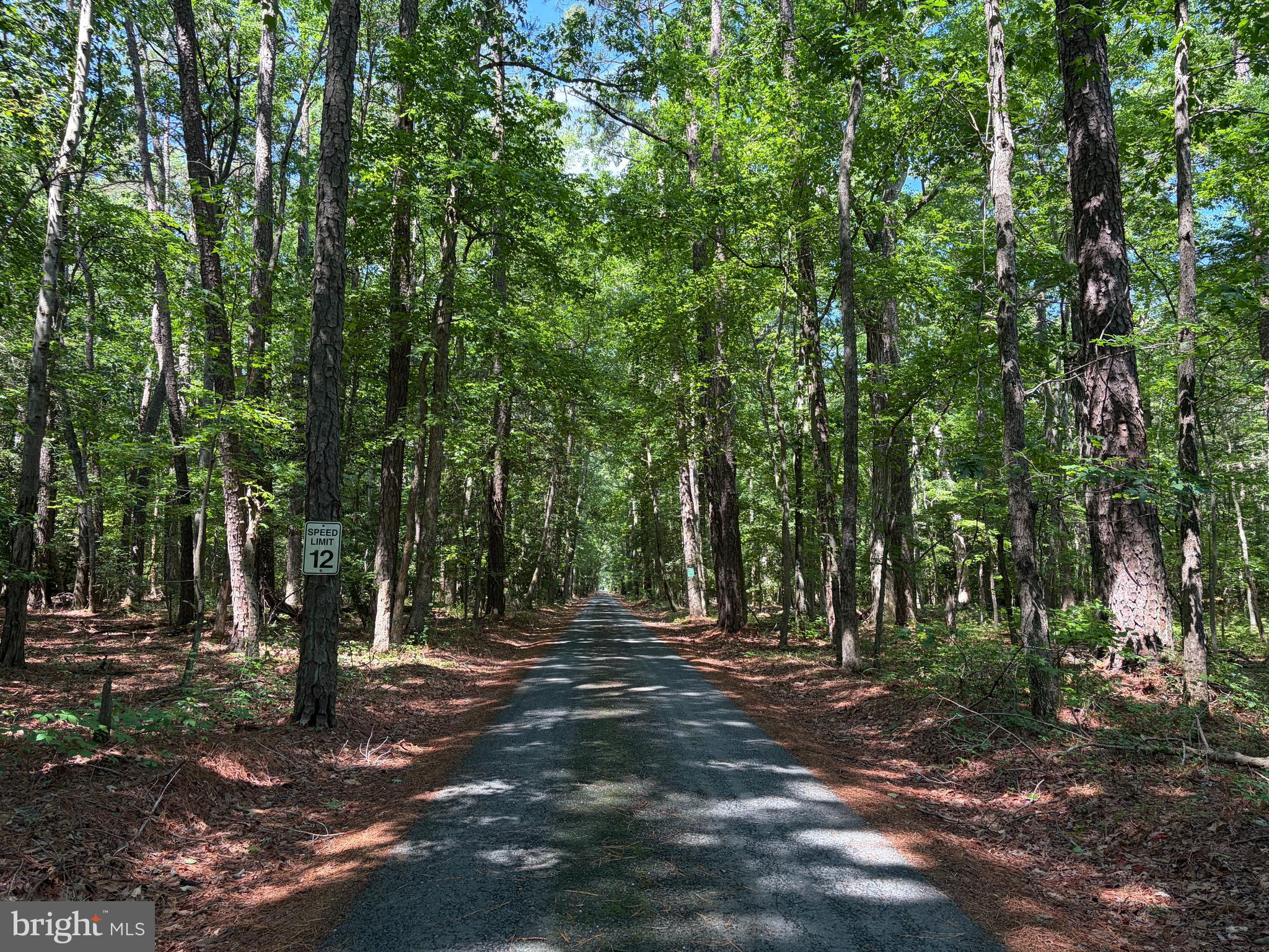 FERRY NECK - Residential