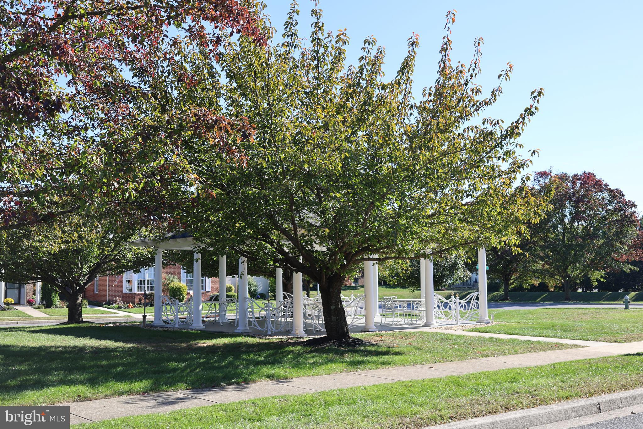 GREENWICH PARK - Residential