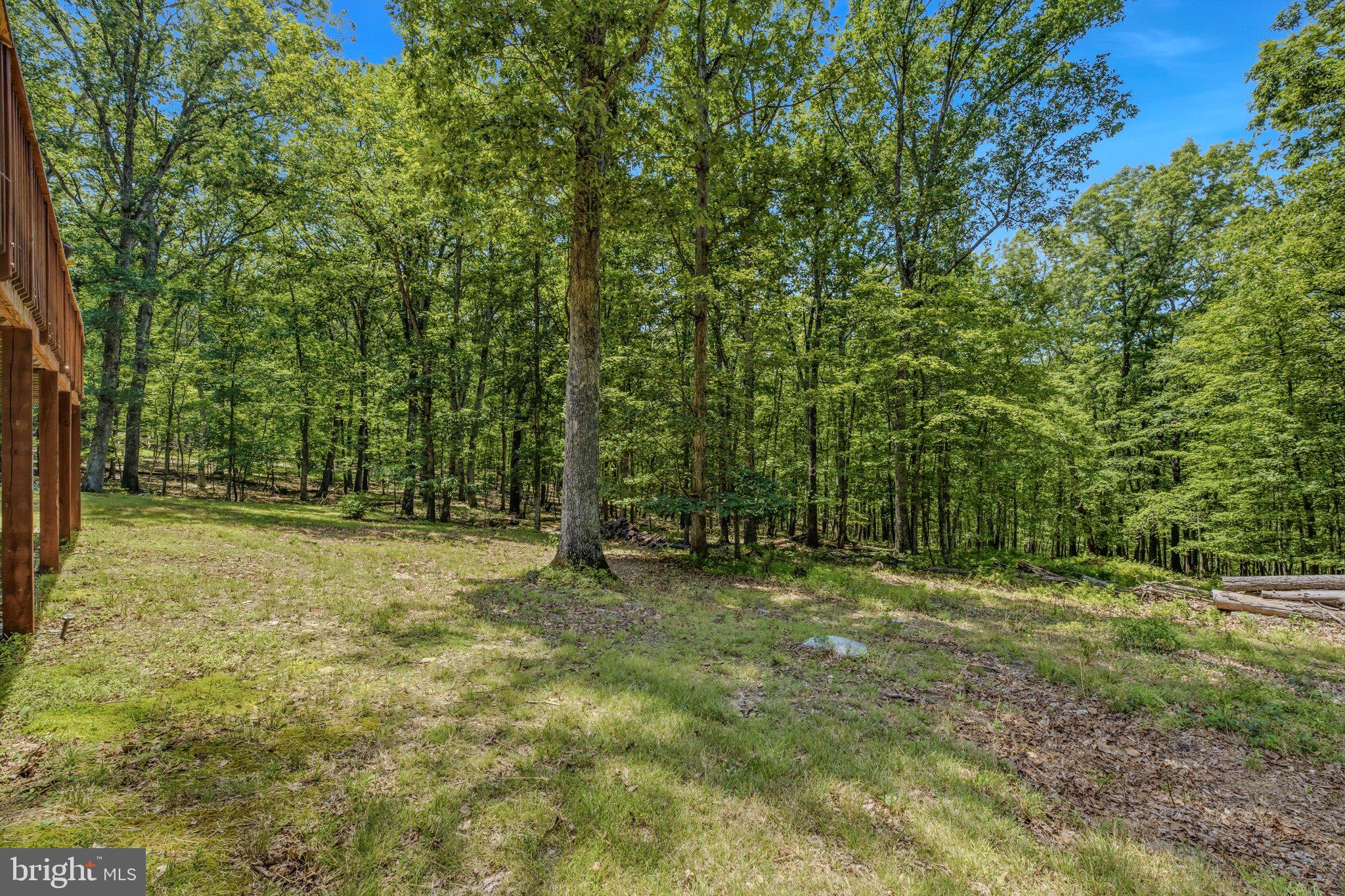 ROUSE MOUNTAIN - Residential