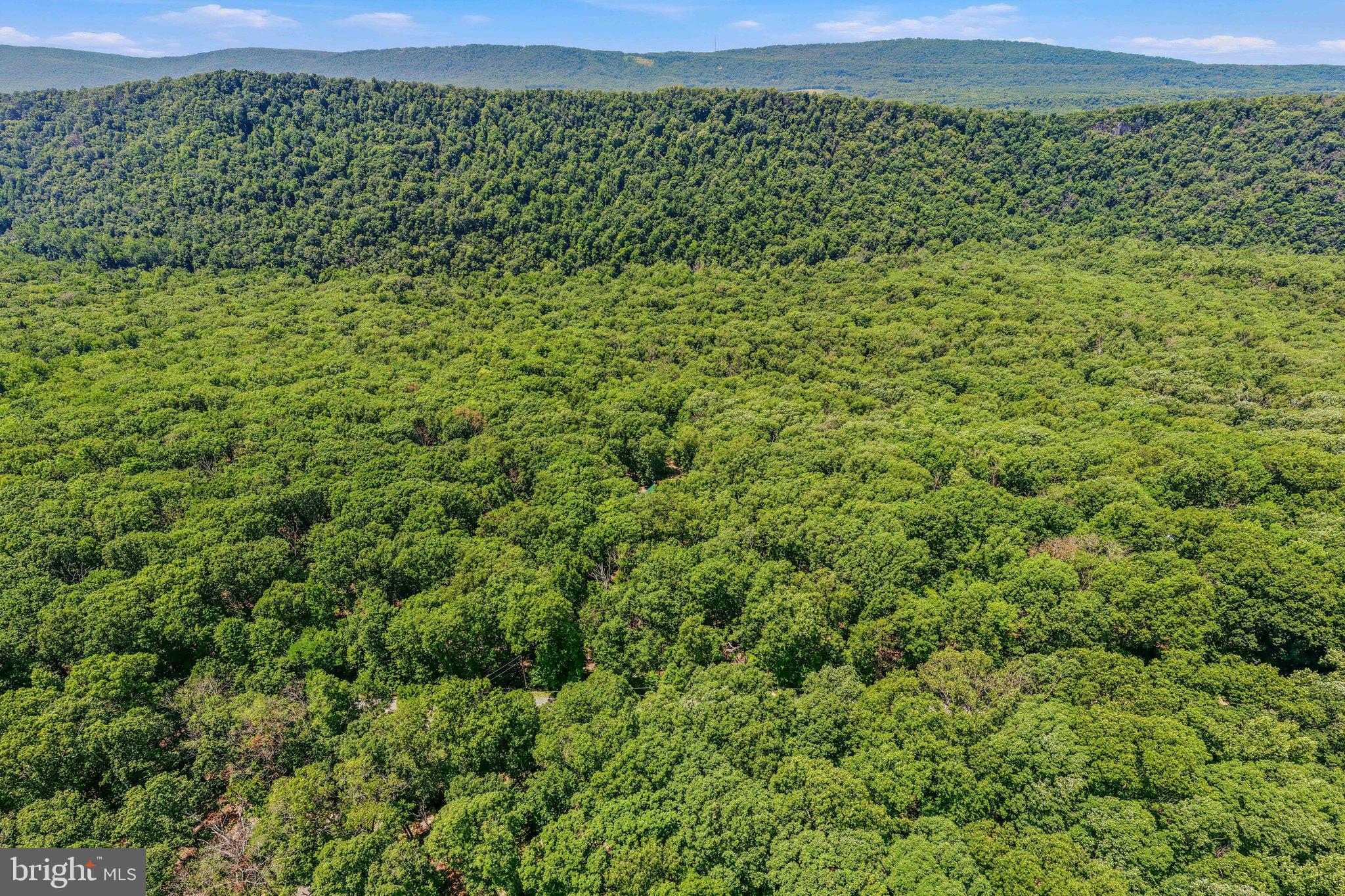 ROUSE MOUNTAIN - Residential