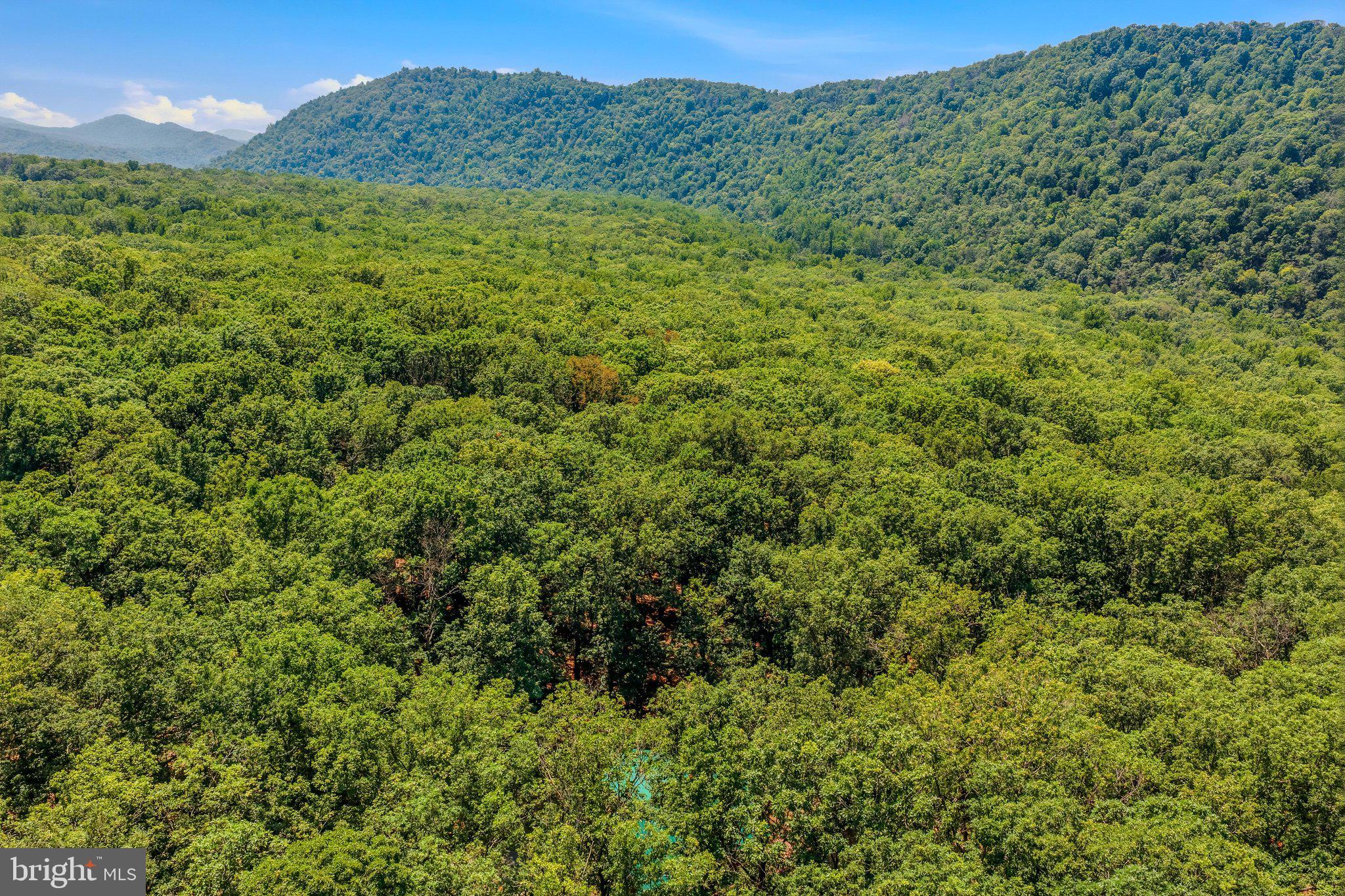 ROUSE MOUNTAIN - Residential