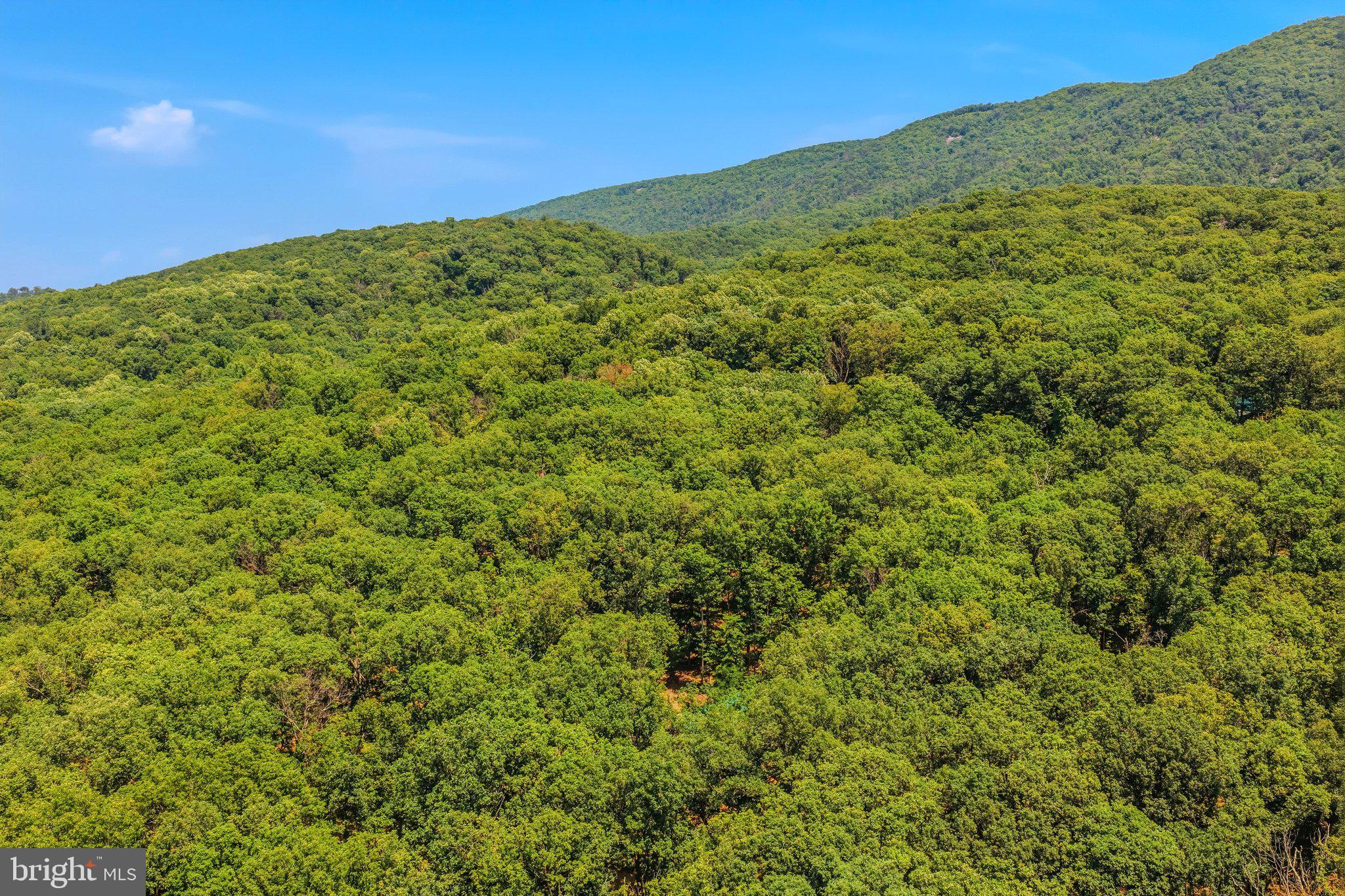 ROUSE MOUNTAIN - Residential