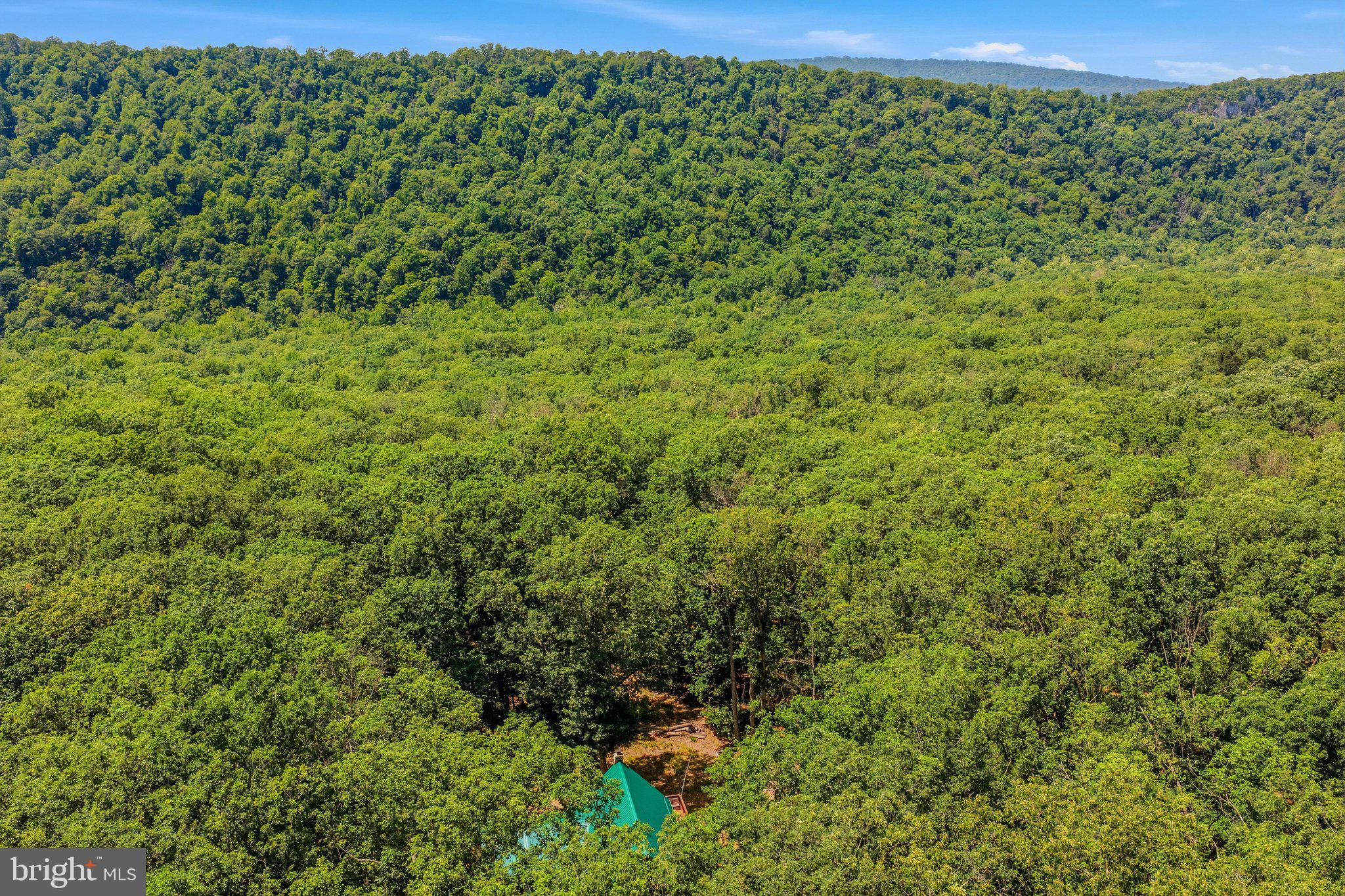 ROUSE MOUNTAIN - Residential