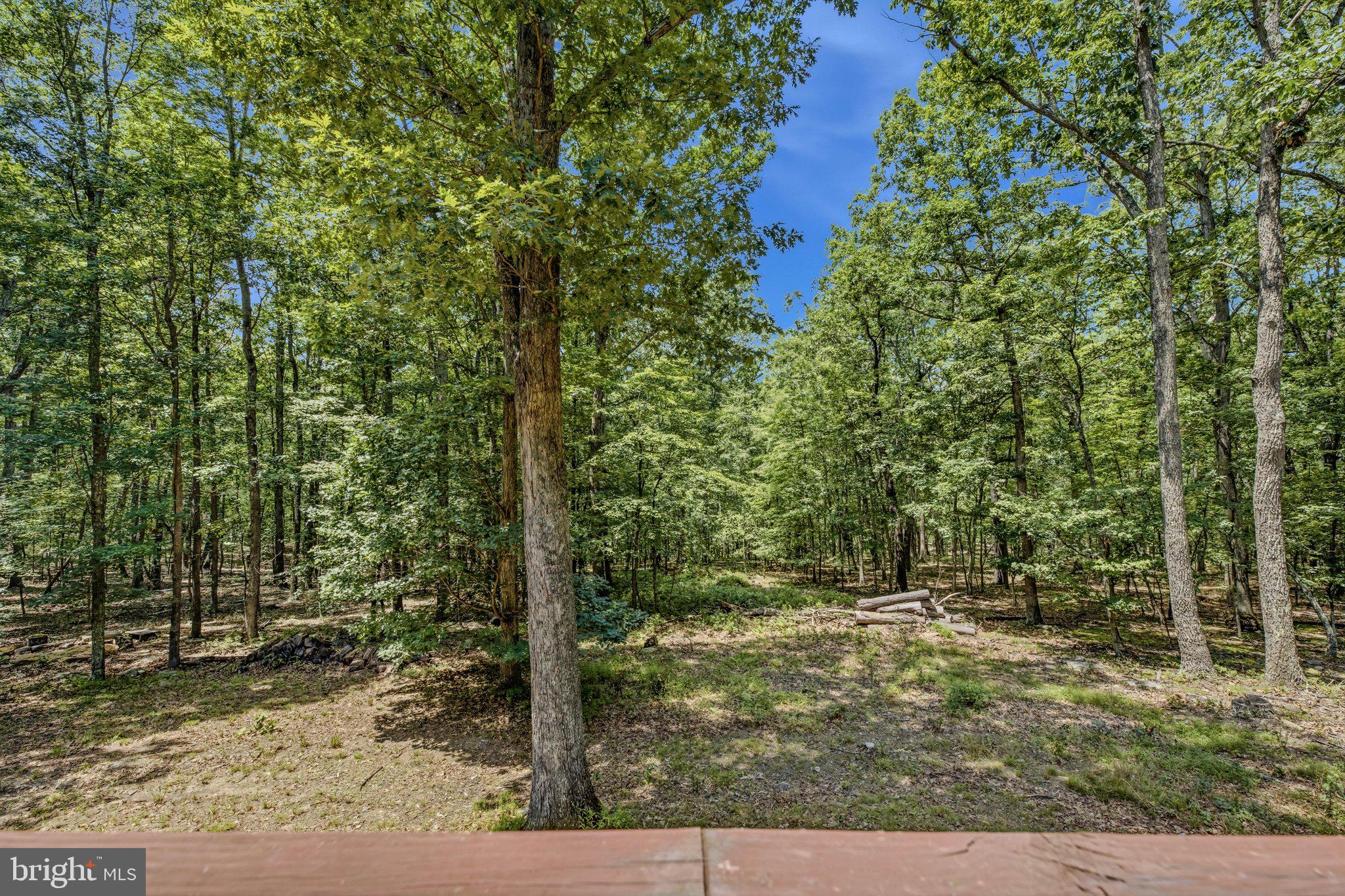 ROUSE MOUNTAIN - Residential