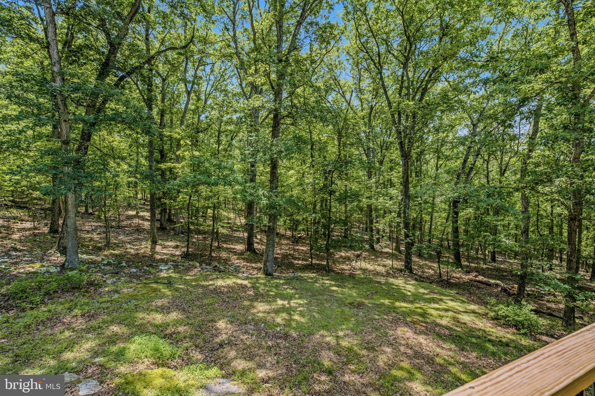 ROUSE MOUNTAIN - Residential