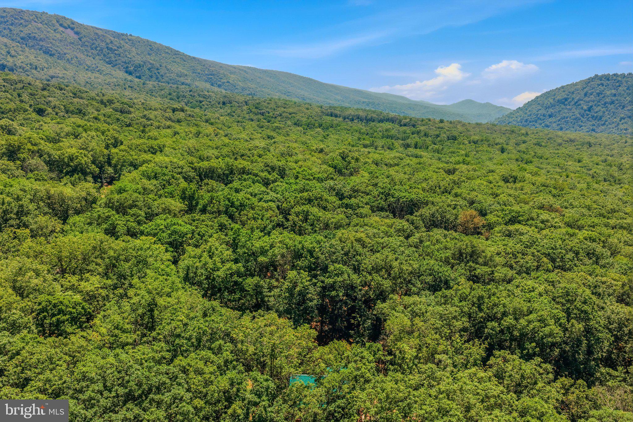 ROUSE MOUNTAIN - Residential