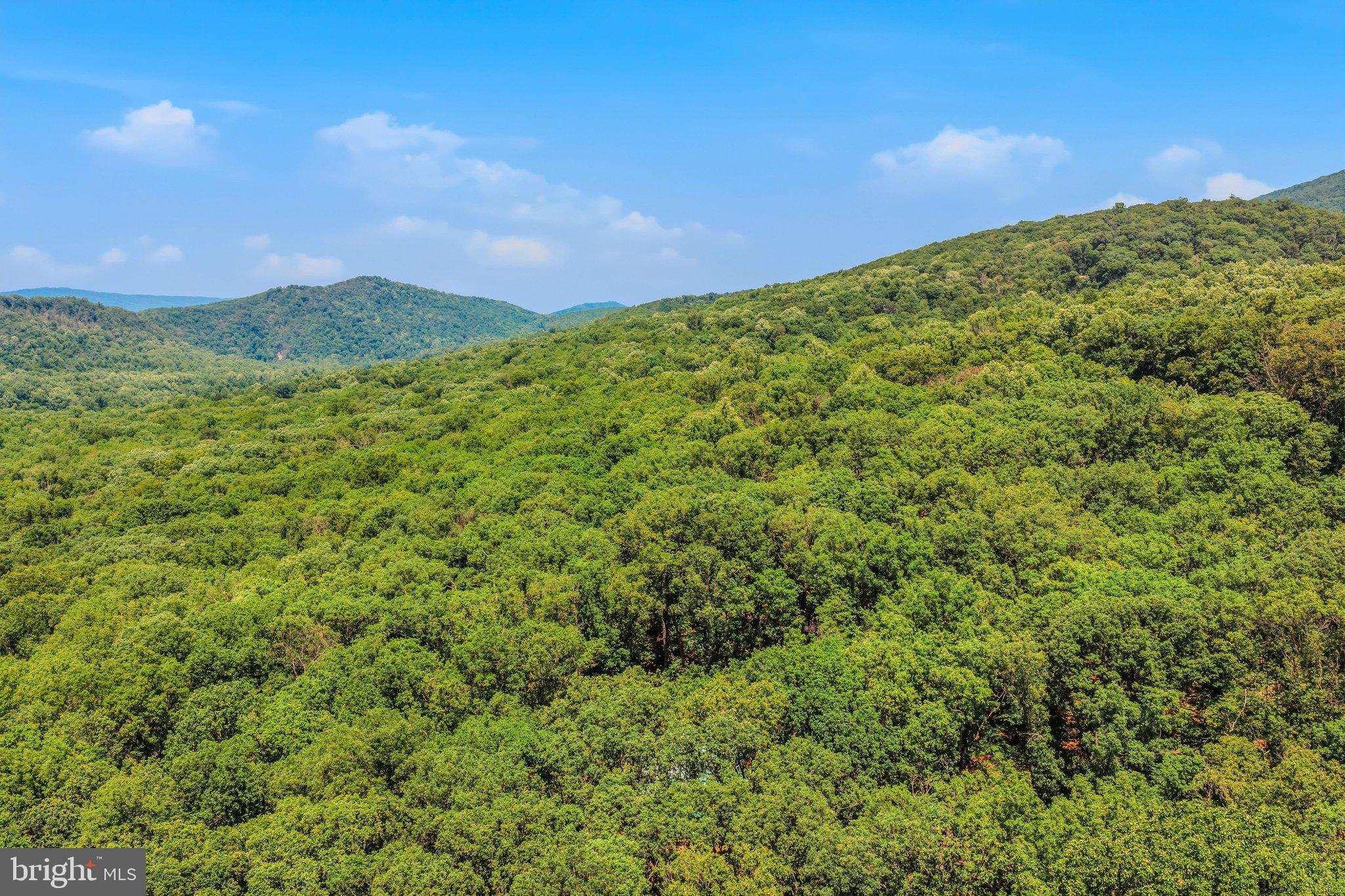 ROUSE MOUNTAIN - Residential