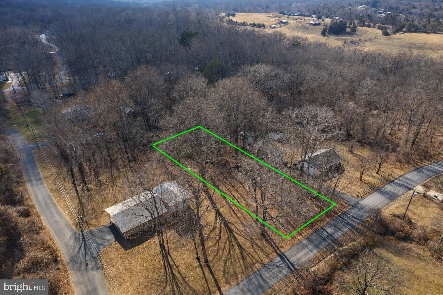 BRADLEY FOREST - Land
