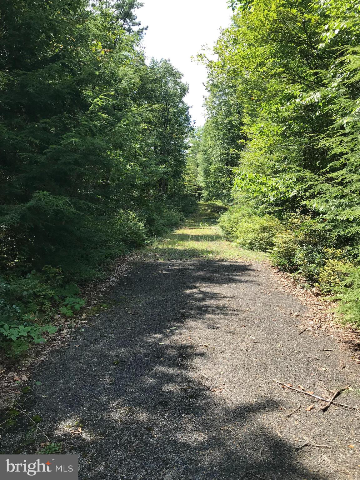 HICKORY RUN FOREST - Land
