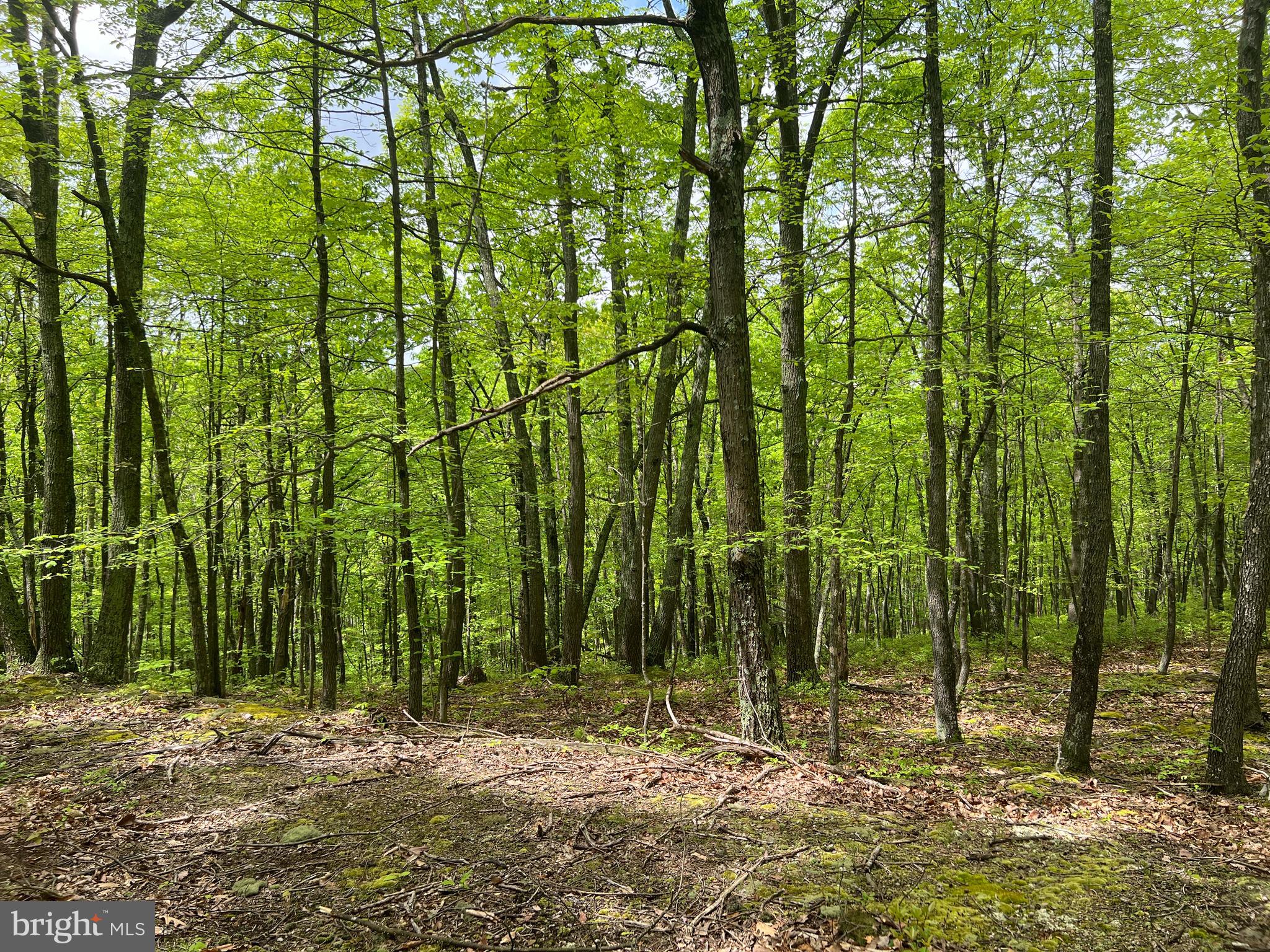 Nice wooded parcel of land consisting of 9.4+/- acres. Would make a great location to build a getaway or full time residence. Located just a few minutes from PA State Game Lands.