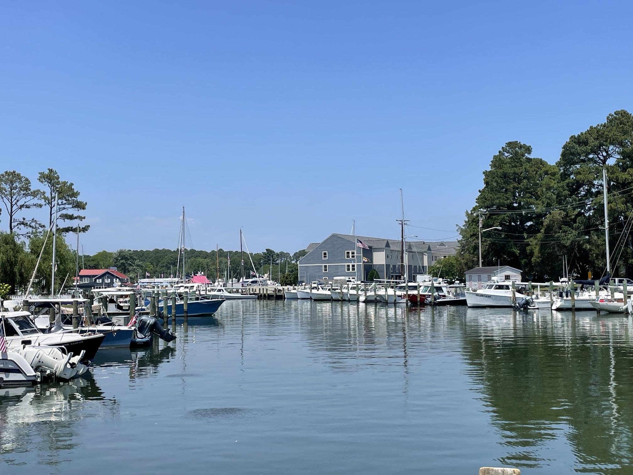 PRICE REDUCED: Don't miss this rare opportunity. This special home offers spectacular and picturesque views of the Saint Michaels Harbor in addition to its prime location on one of Saint Michaels most desirable streets.  Conveniently located near all of the in-town amenities and walkable to great restaurants, shops, brewery, winery, gallery, seasonal farmer's market, museums and more.  This home has received a fresh interior painting, a deep cleaning and it is "move in ready" and ready to enjoy the Summer in Saint Michaels.
216 E Chew Ave. is a 4-bedroom, 3 full bath and 1/2 bath home with the 1/2 bath on the first floor. One of the bedrooms and a full bath is a guest apartment with a kitchenette located over the 2-car attached garage.  The guest apartment is accessible from the inside of the home or by a private outside entrance.  The Primary Suite includes an updated en-suite Bath with double vanity, walk-in shower and private toilet. The Primary bedroom has room for a king-size bed, a walk-in closet, a north harbor view and access to the 2nd floor front porch. The 2 additional bedrooms have large closets, harbor views and individual access doors to the front porch.  Both bedrooms share a large, updated bathroom with a combination tub/shower.  The main part of the home is both comfortable and casual while at the same time stately and refined. The kitchen and eat in breakfast /dining area looks out over the Harbor and opens to the 1st floor porch and porch swing which is a great place to have your morning coffee.  The kitchen has a great layout, granite counter tops, stainless appliances, a Viking paneled refrigerator and a walk-in pantry.  The Dining room or living room has a harbor view as well and a central fireplace with attractive marble and millwork.  The architectural marvel of this home is the "Conservatory".  It is a fantastic room for entertaining with a double height ceiling and intriguing structure.  This was in use as a great room / family room.  The back wall could also accommodate a large bar and flat screen if desired.  If interested, a future owner might consider it for spacious ground floor master suite as double closets and laundry plumbing already exist in addition to plumbing for a wet bar.  Two sets of French doors open to either the front lawn or side yard for entertaining and outdoor grilling and dining. The side yard has a southern exposure and paver patios for a dining set and a fire pit.  The unique design of the conservatory also provides a near 180-degree view of the harbor and all of the beautiful sunrises and sunsets. Now offered at a REDUCED PRICE, this home also has the lowest price per square foot for a Luxury, Waterview, in town home (under $450), making it a comparatively excellent value. This rare combination of location, quality, amenities and value cannot be replicated in the Saint Michaels market. Do not miss the opportunity to enjoy all that is special about Saint Michaels that comes with this special home.