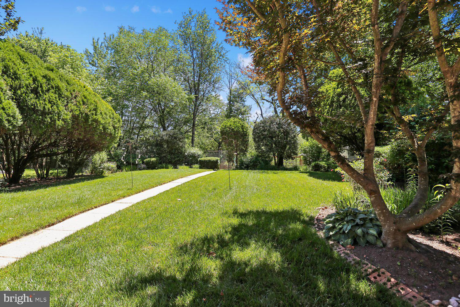 FOREST KNOLLS - Residential