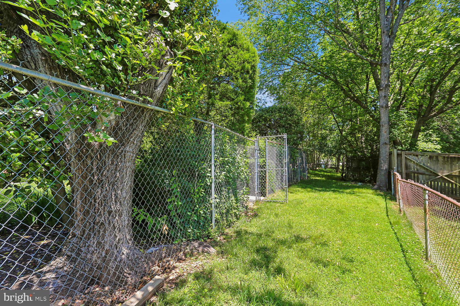 FOREST KNOLLS - Residential
