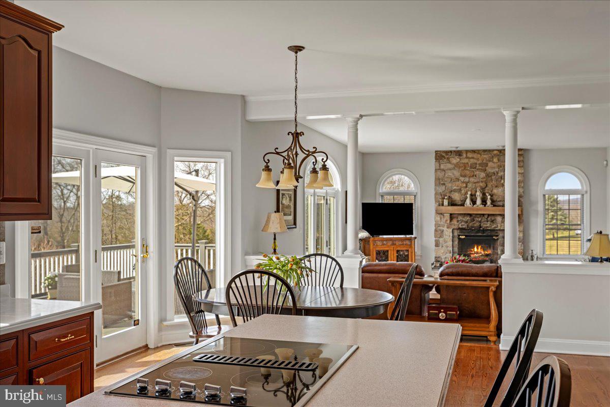 TINICUM RIDGE - Residential