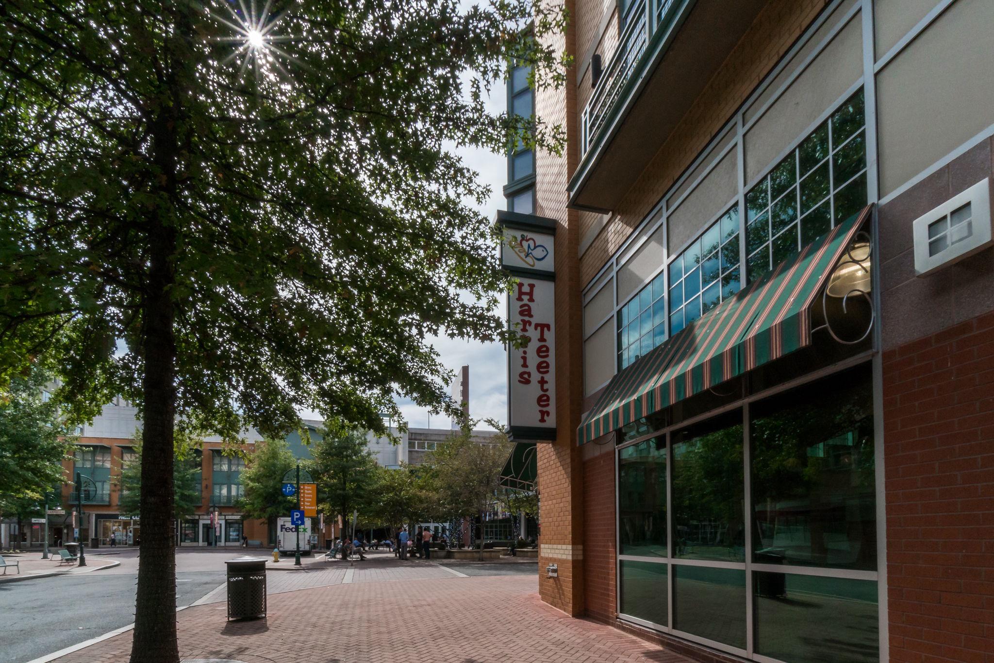 THE ARLINGTON - Residential