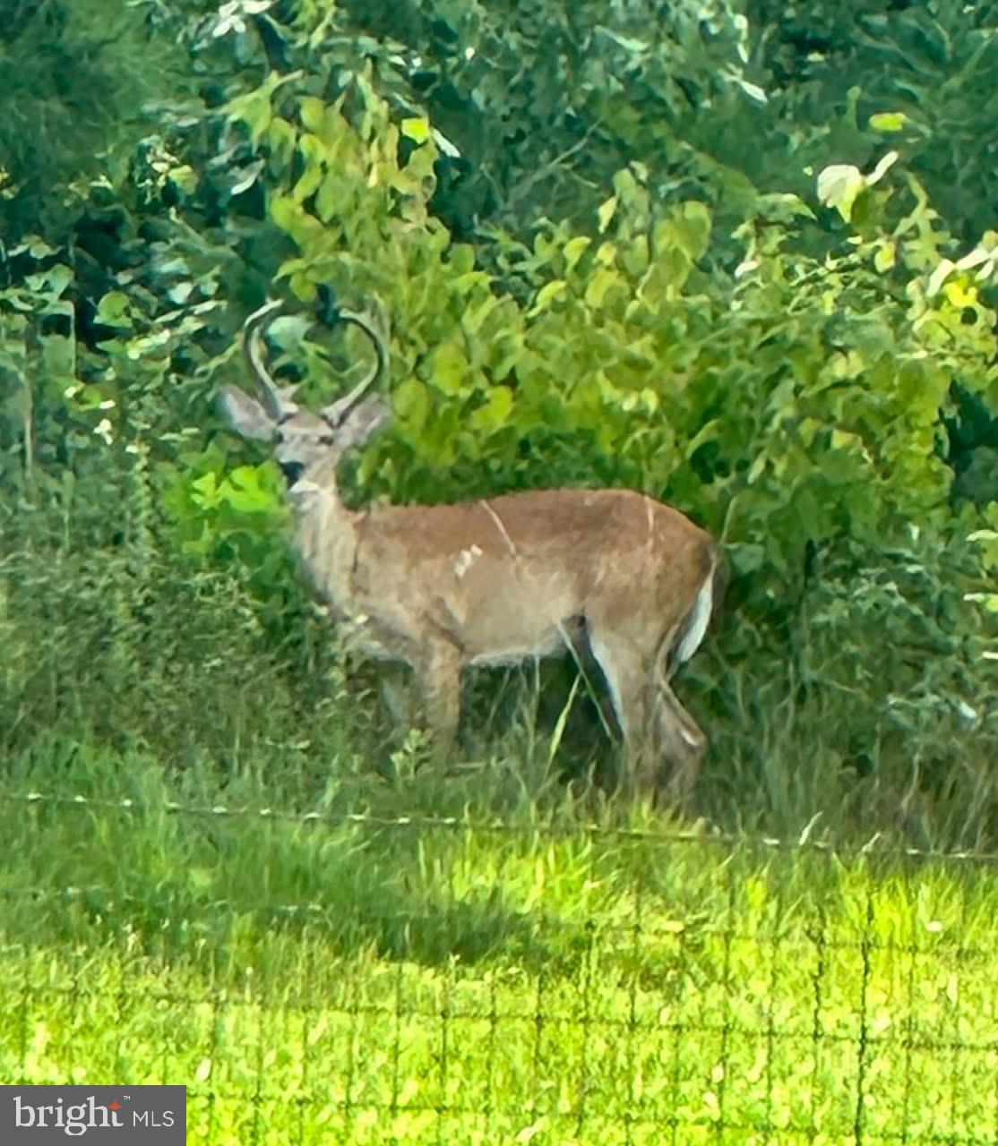 HICKORY CREEK ACRES - Residential