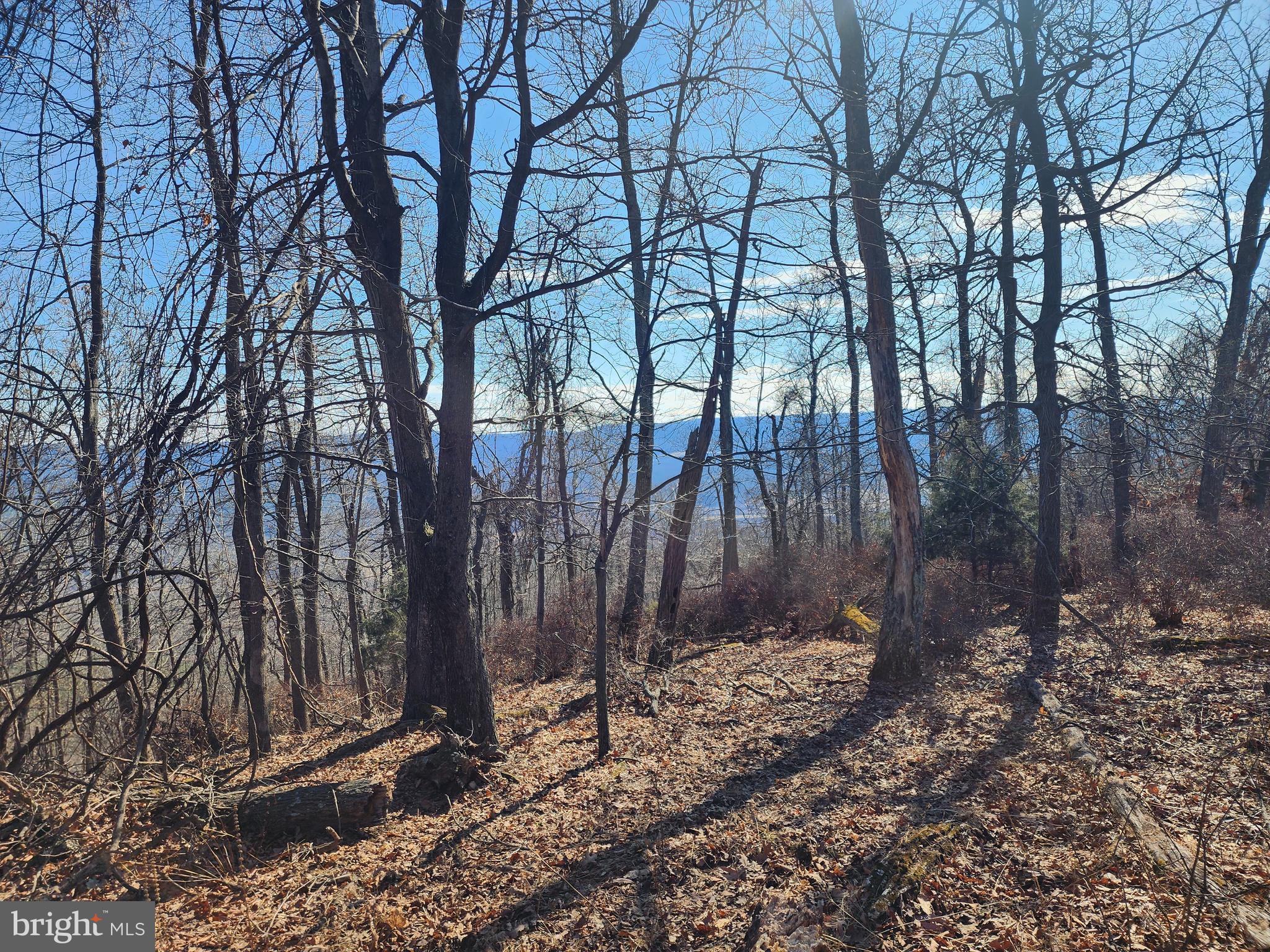 RIVER RIDGE - Land