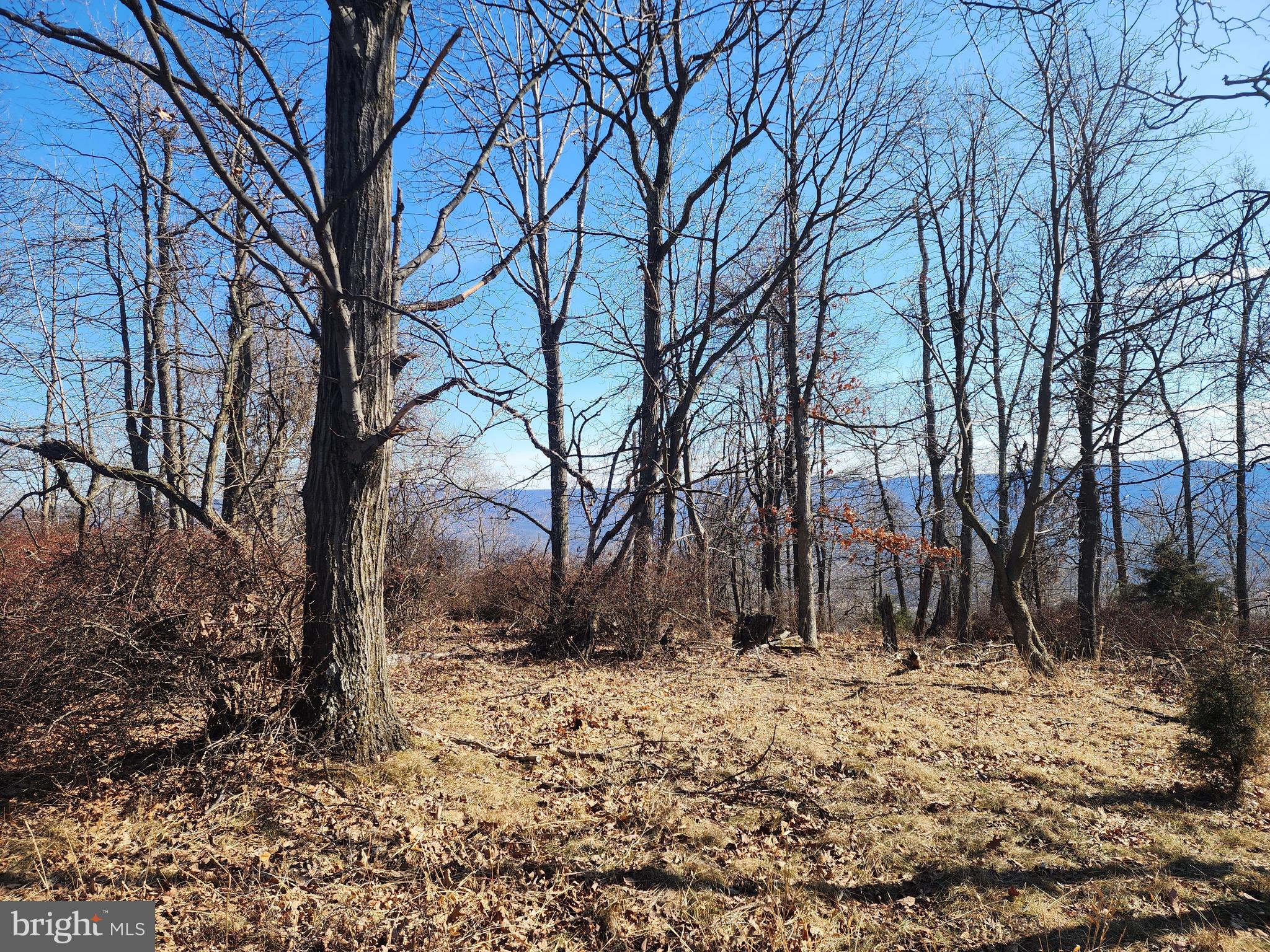 RIVER RIDGE - Land