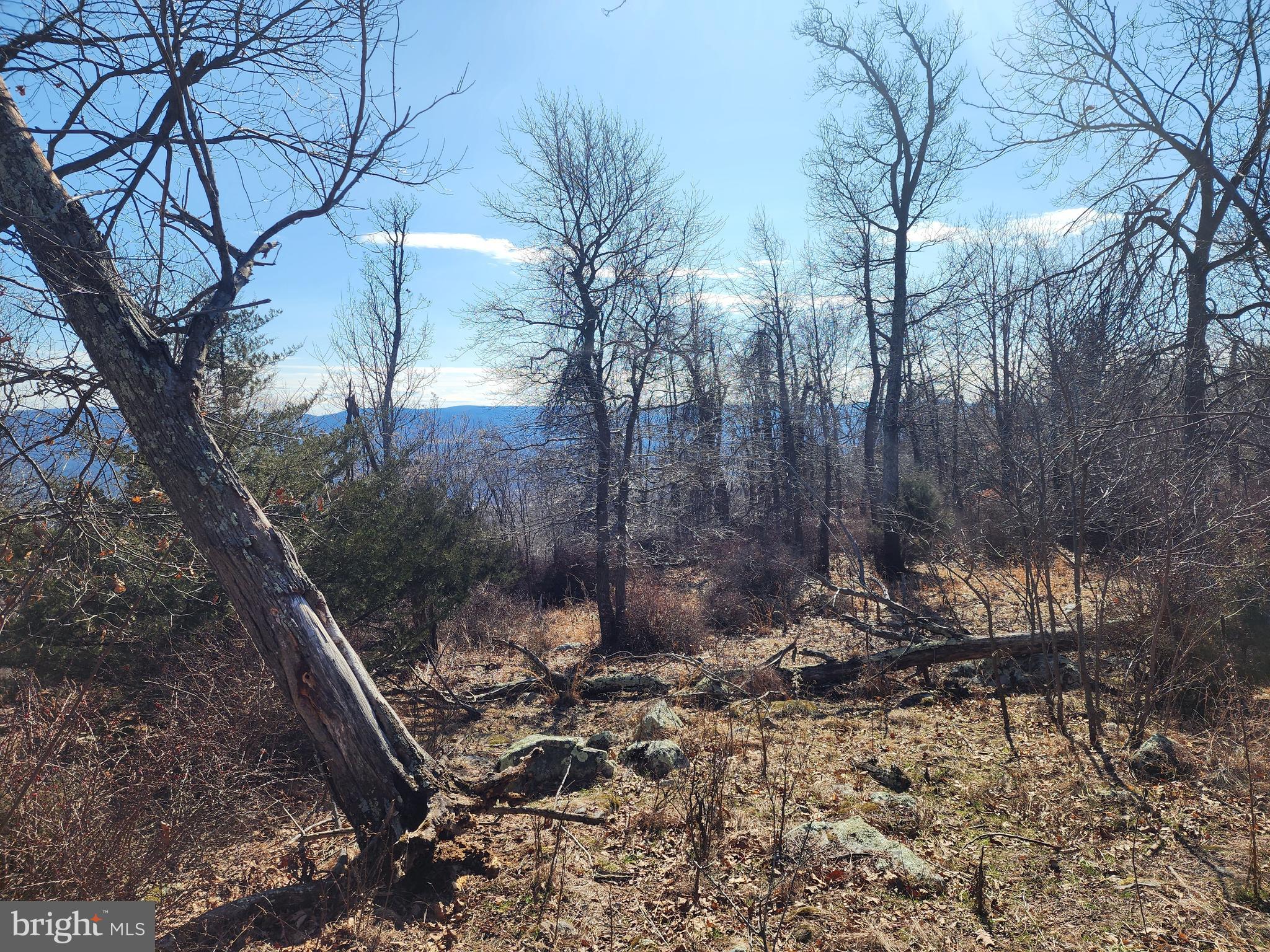 RIVER RIDGE - Land