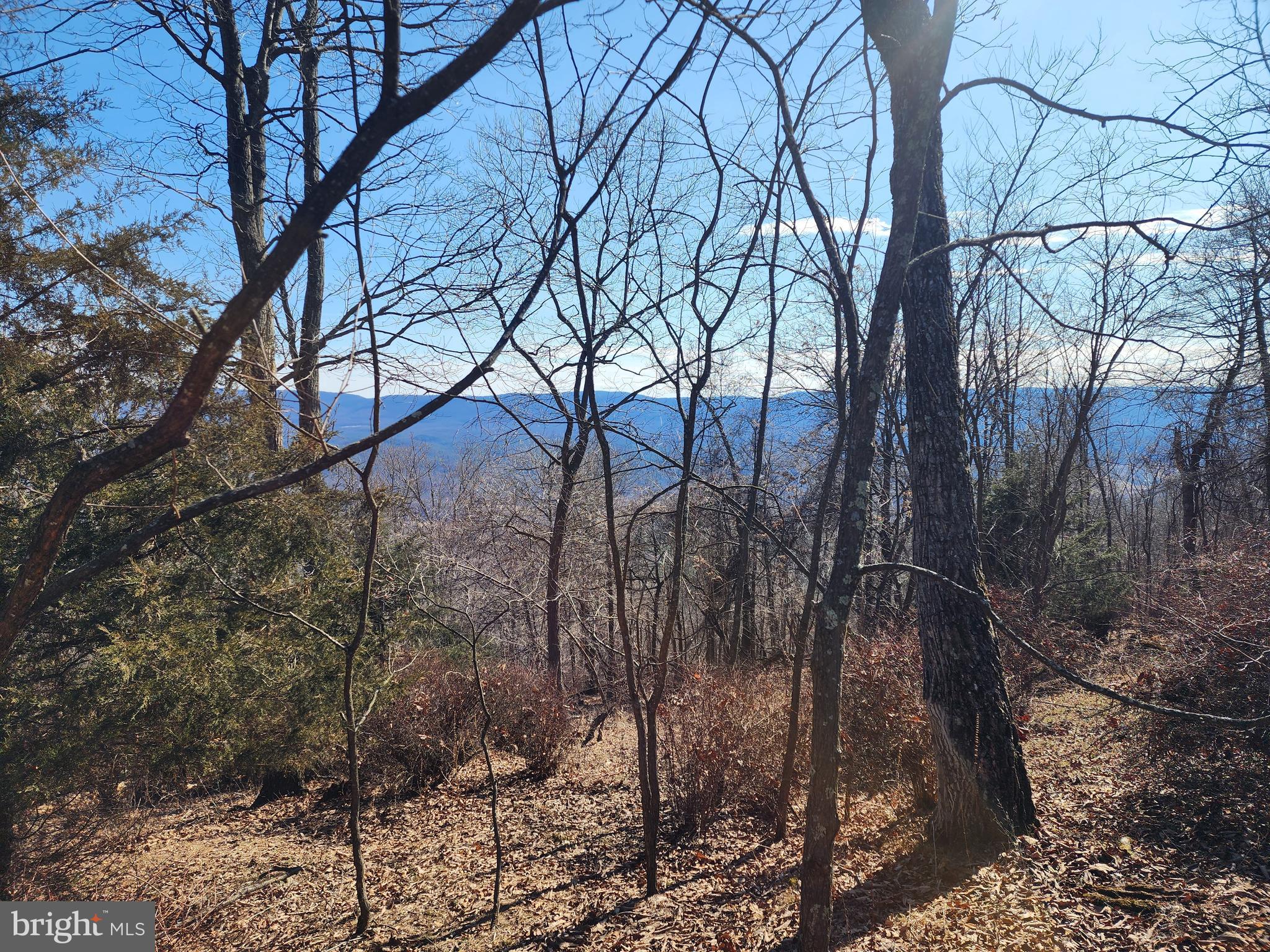 RIVER RIDGE - Land