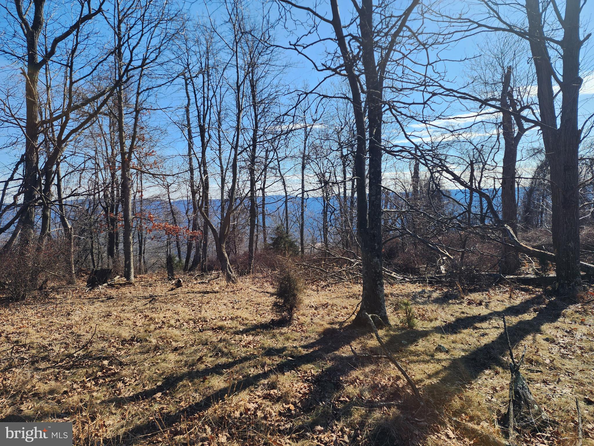 THEY SAY IT IS HARD TO BEAT "THE VIEW FROM THE TOP"....  WITHIN THE RIVER RIDGE SUBDIVISION, YOU CAN'T GET ANY HIGHER!  PERCHED AT 2050 FT ABOVE SEA LEVEL, THIS PARCEL PROVIDES A TREMENDOUS VIEW OF THE CACAPON RIVER VALLEY AND MOUNTAINS BEYOND.  WITH A FLAT TOP ALONG THE SUBDIVISION ROAD YOU WILL FIND PLENTY OF ROOM TO BUILD YOUR MOUNTAIN RETREAT OR PERMANENT HOME.  LOCATED JUST MINUTES FROM THE QUAINT, SMALL MOUNTAIN TOWN OF WARDENSVILLE, THE G.W. NATIONAL FOREST,  WARDEN LAKE,  AND PUBLIC ACCESS TO THE CACAPON RIVER, THE NEW OWNER WILL HAVE ALL OUTDOOR RECREATIONAL OPPORTUNITIES AT THEIR FINGERTIPS.  DON'T LET THE ADJOINING POWERLINE SCARE YOU - THE LONG RIDGE TOP PROVIDES PLENTY OF BUILDABLE SPACE OUT OF SIGHT OF IT.  THIS COULD BE THE ONE YOU HAVE BEEN WAITING FOR. SCHEDULE AN APPOINTMENT TO CHECK IT OUT TODAY!