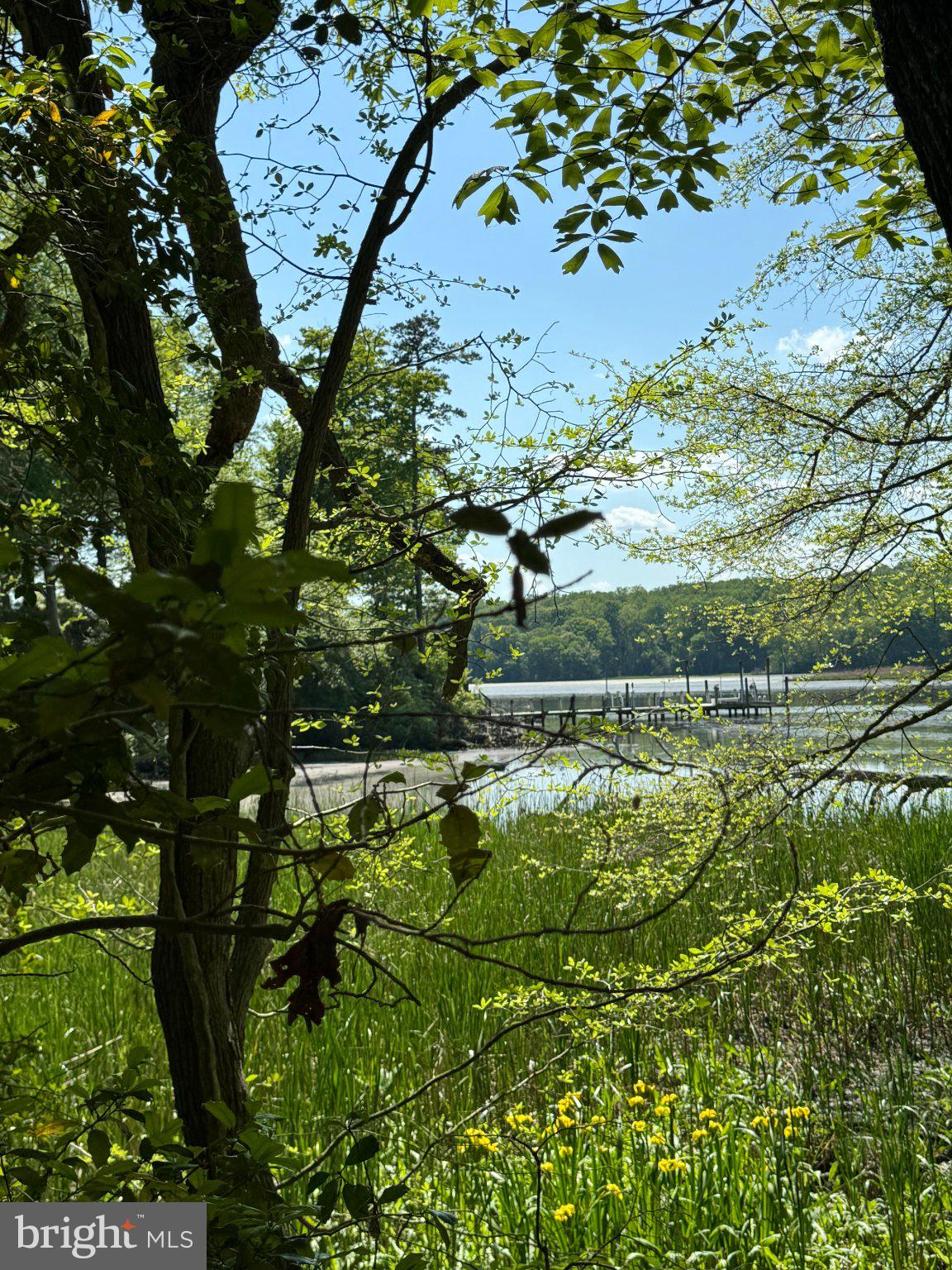 MARLBOROUGH POINT - Land