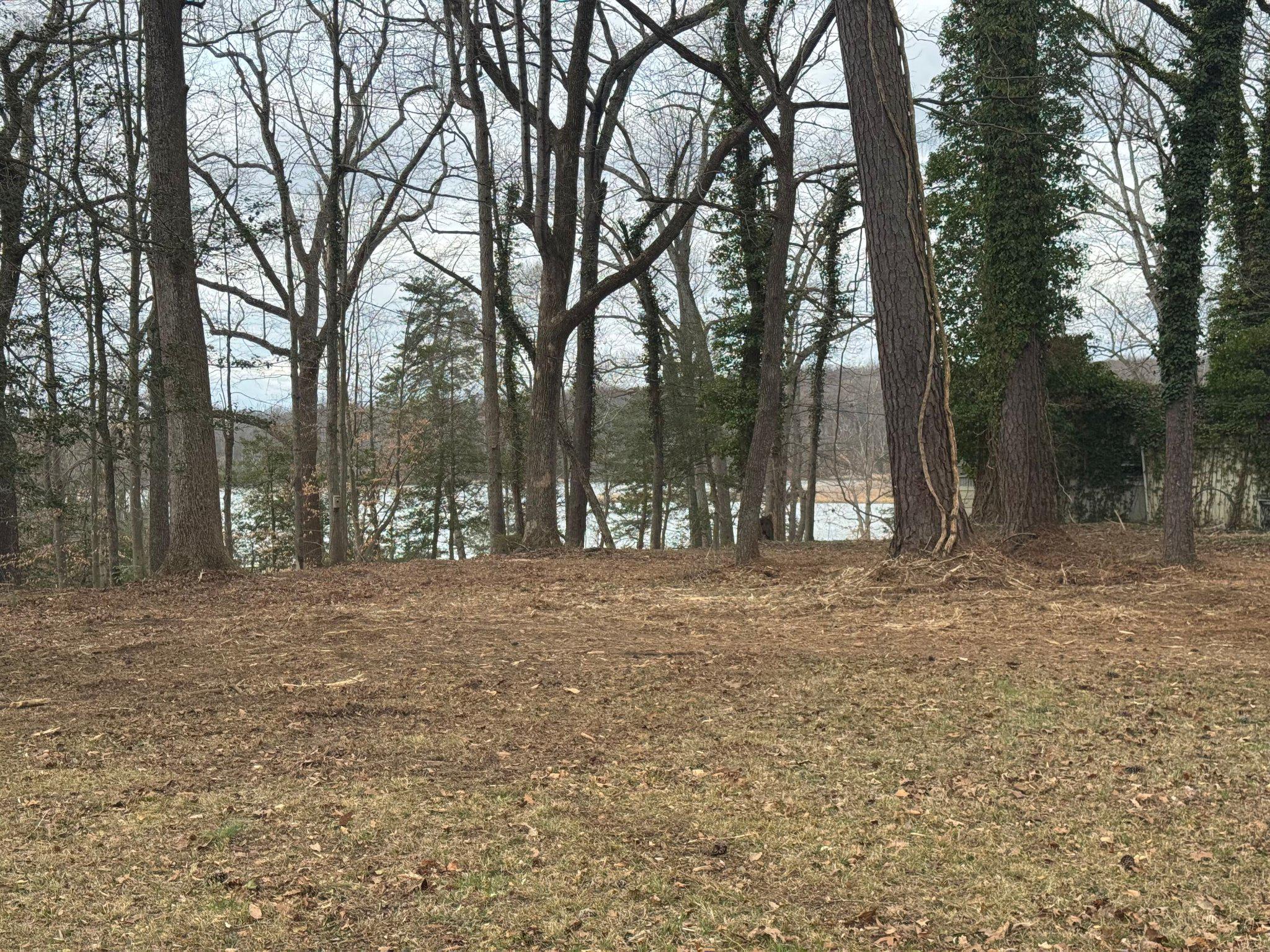 MARLBOROUGH POINT - Land