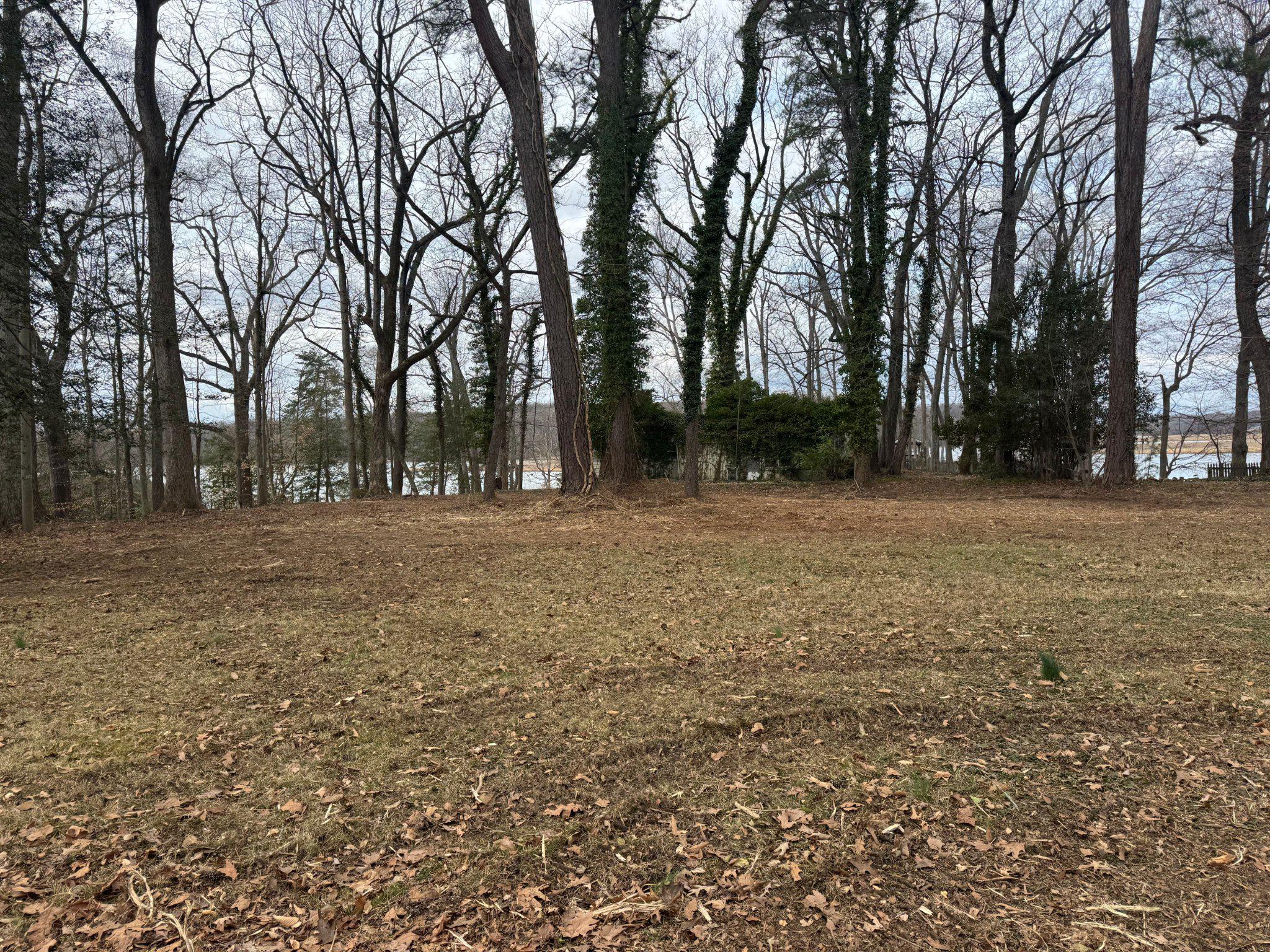 MARLBOROUGH POINT - Land