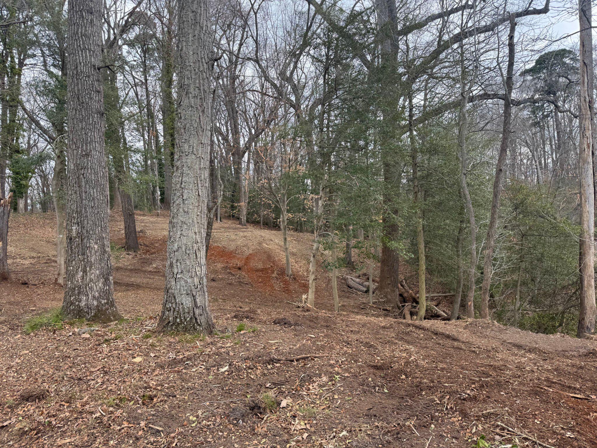 MARLBOROUGH POINT - Land